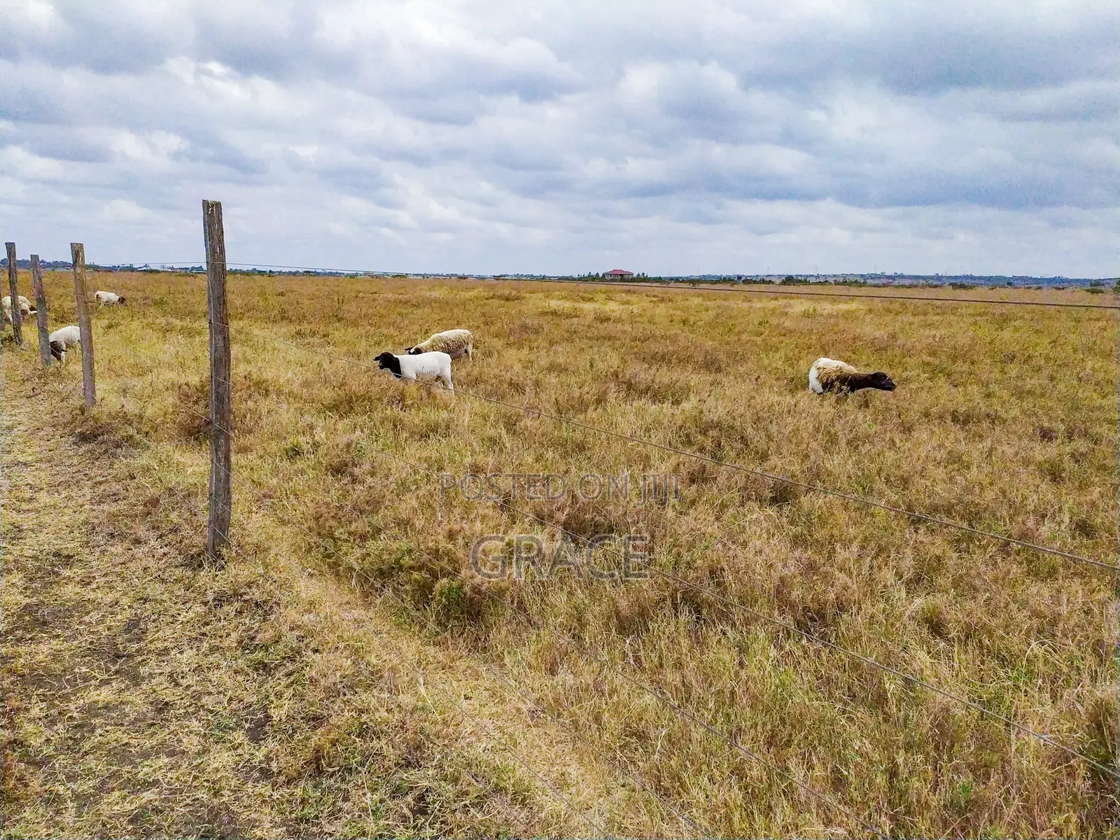 Mbuni Gardens Near Ostrich Farm - Ready Titles in Kitengela