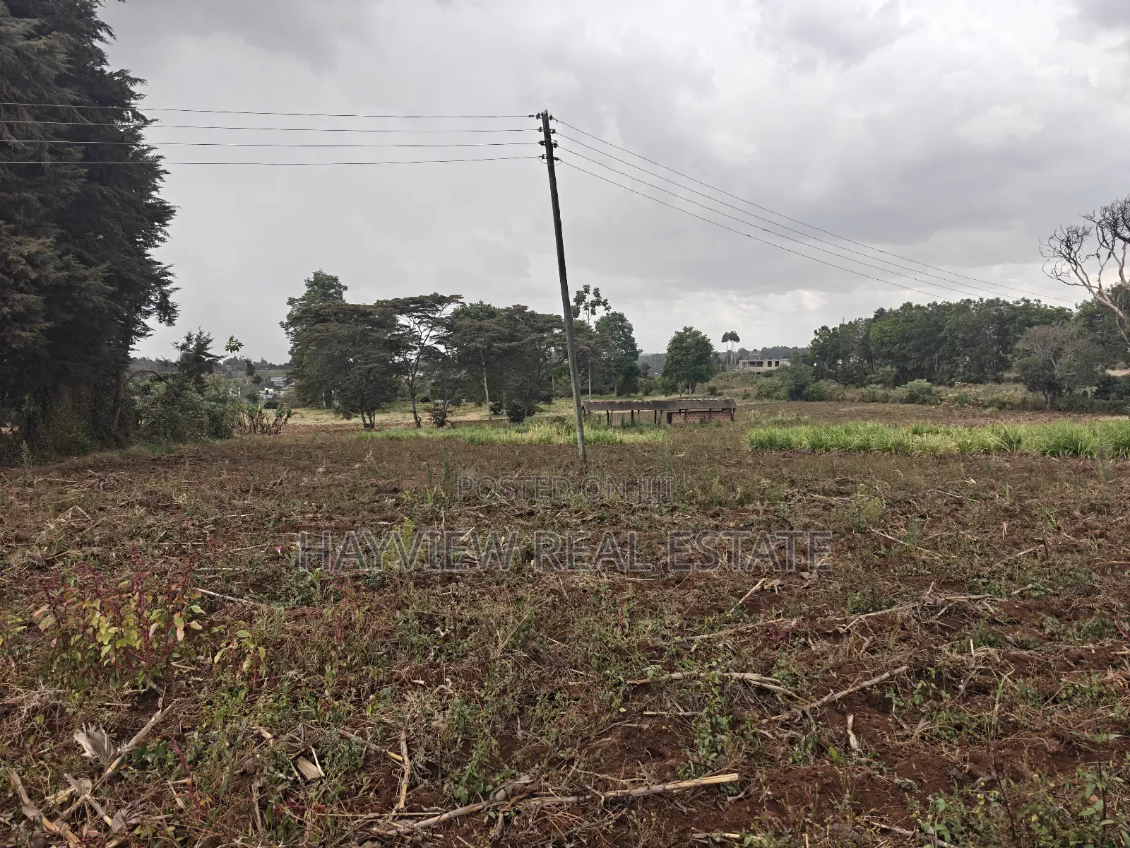 1 Acre Land for Sale Kikuyu Ondiri in Zambezi/Sigona