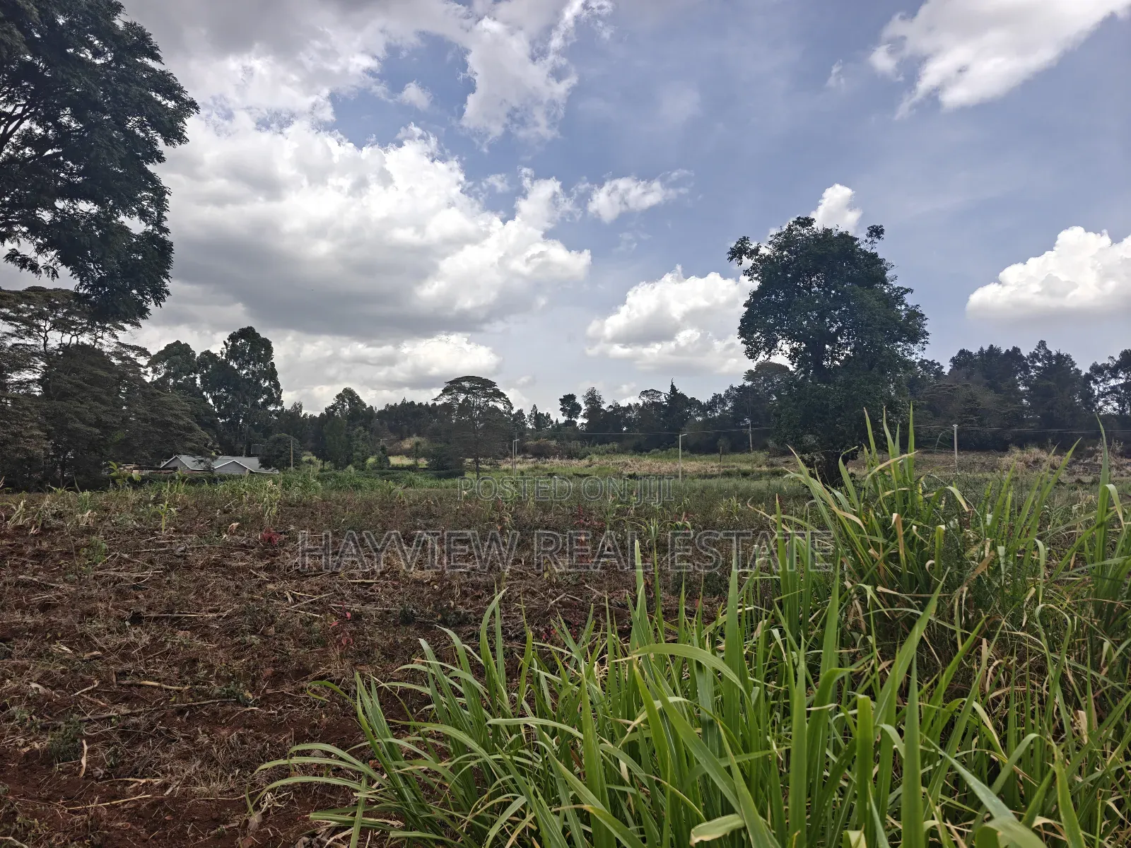 1 Acre Land for Sale Kikuyu Ondiri in Zambezi/Sigona