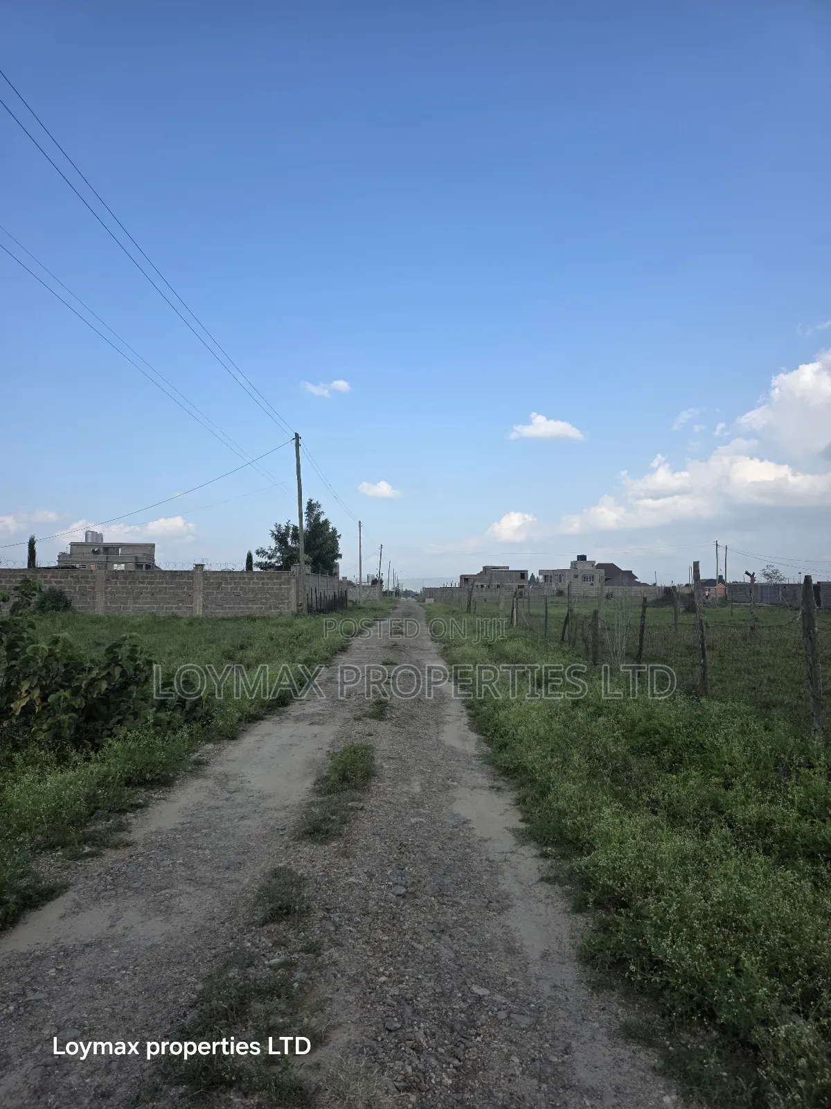 100×100 Plot in Kitengela Milimani in Kitengela