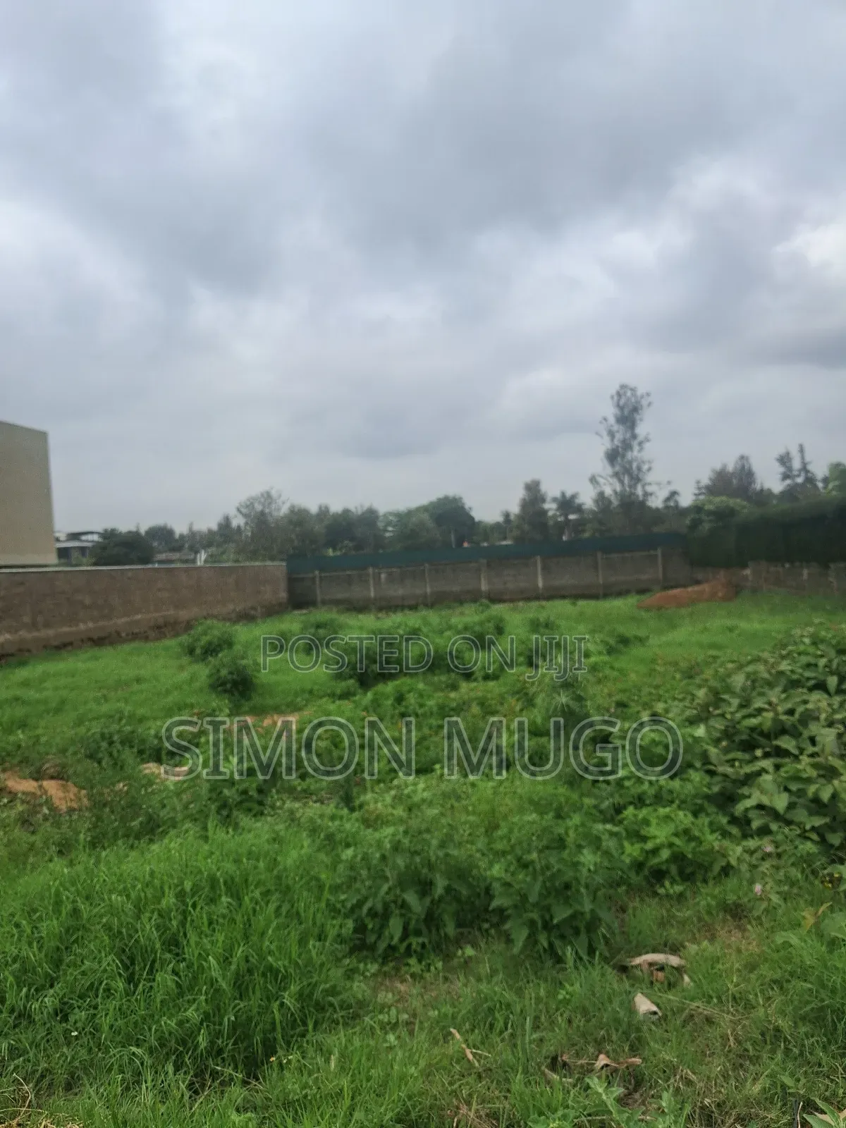 Runda Mumwe Fully Serviced Well Drained Red Soil Residential 1/2 Acre in Runda
