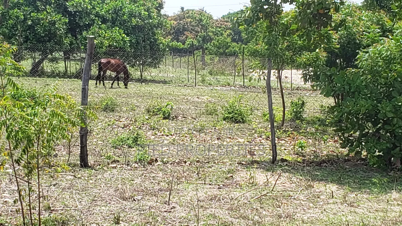 1 Acre in Malindi, Kilifi for Sale in Malindi