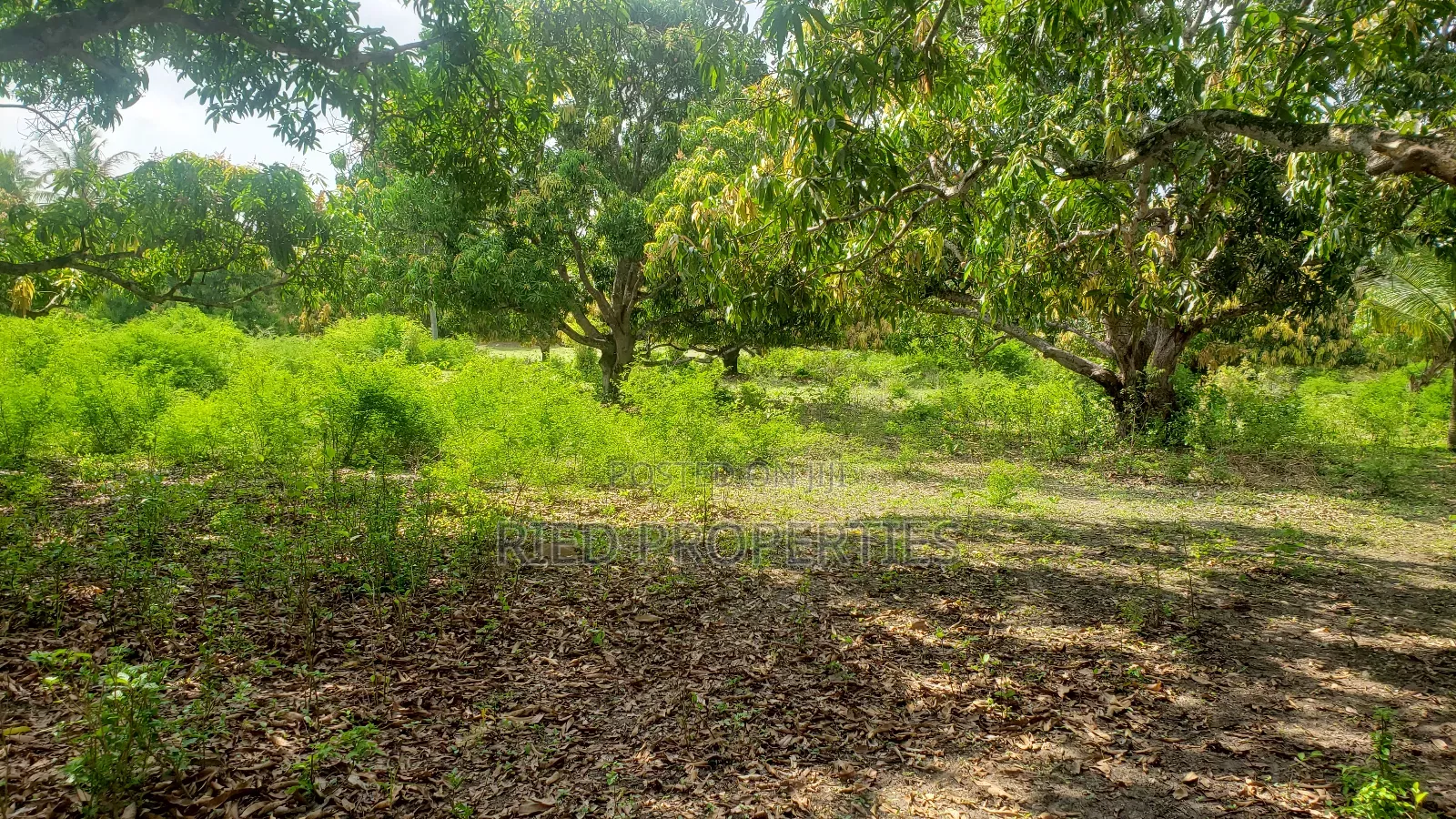 1 Acre in Malindi, Kilifi for Sale in Malindi
