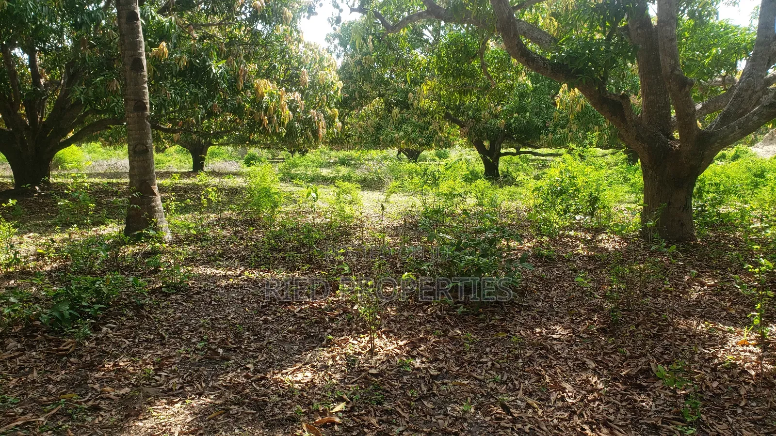 1 Acre in Malindi, Kilifi for Sale in Malindi