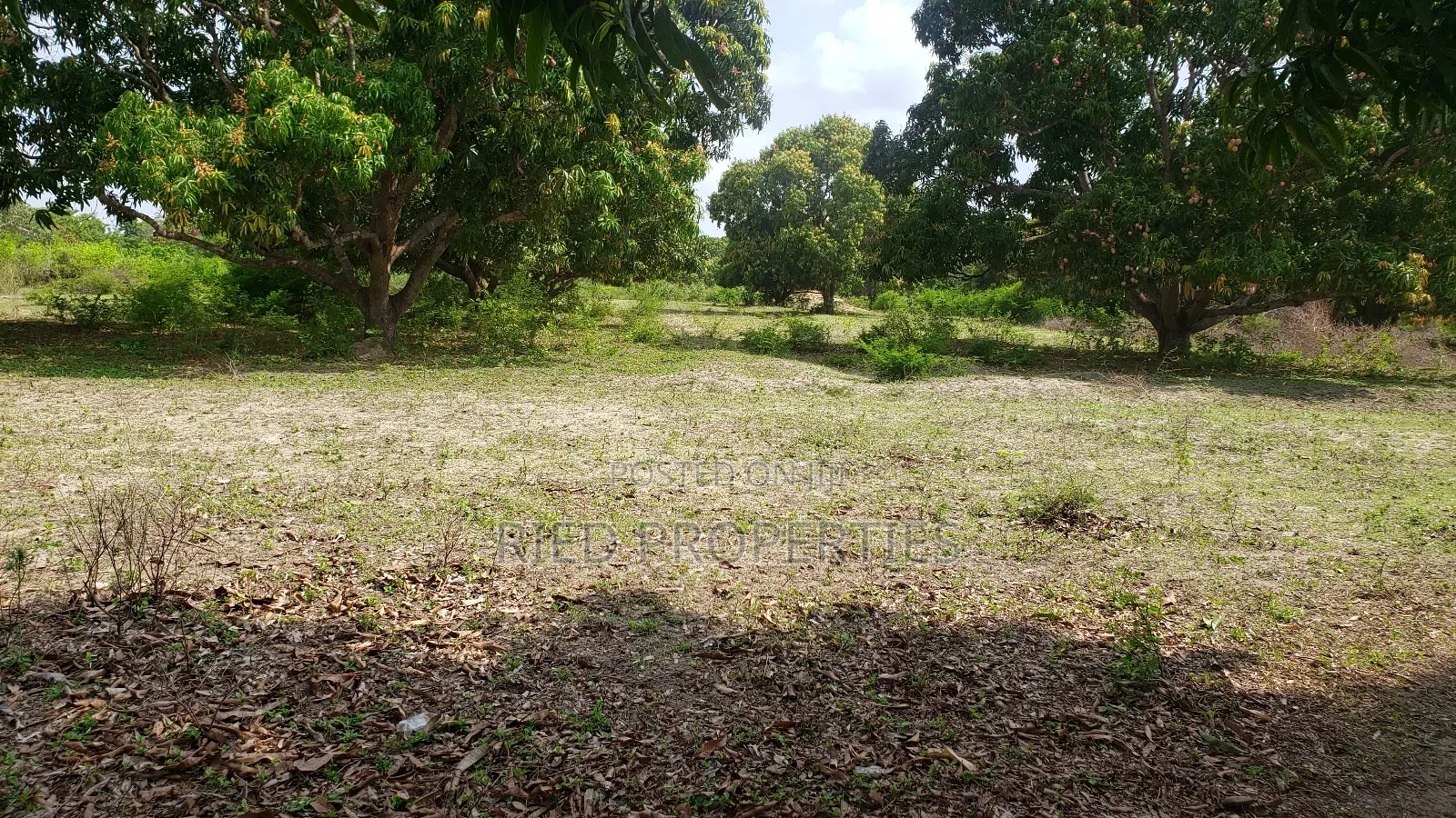 1 Acre in Malindi, Kilifi for Sale in Malindi