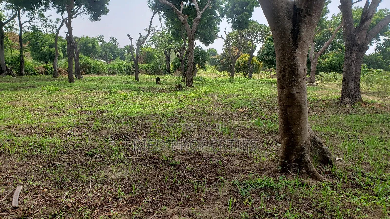 6 Acres in Malindi, Kilifi for Sale in Malindi