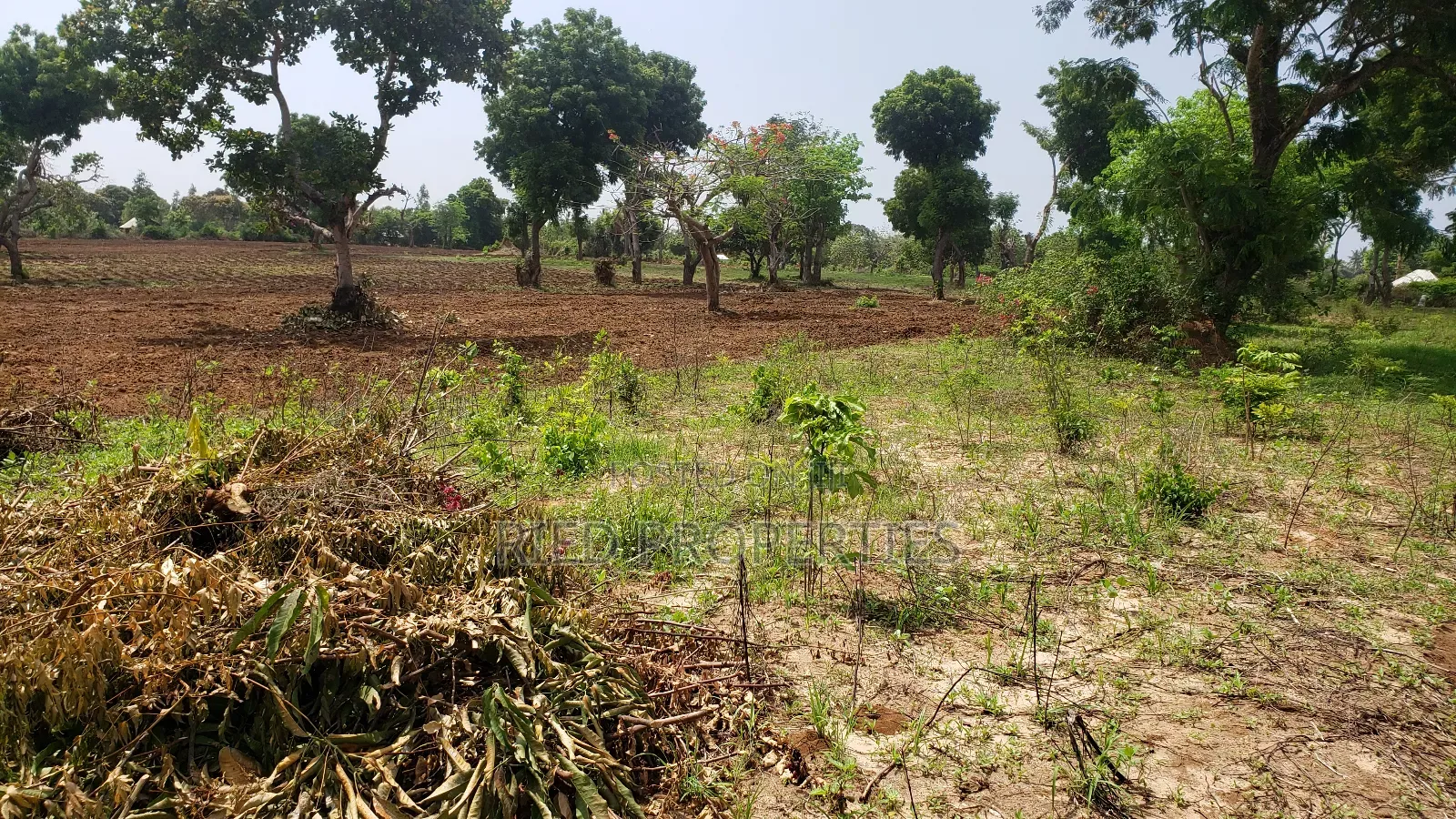 6 Acres in Malindi, Kilifi for Sale in Malindi