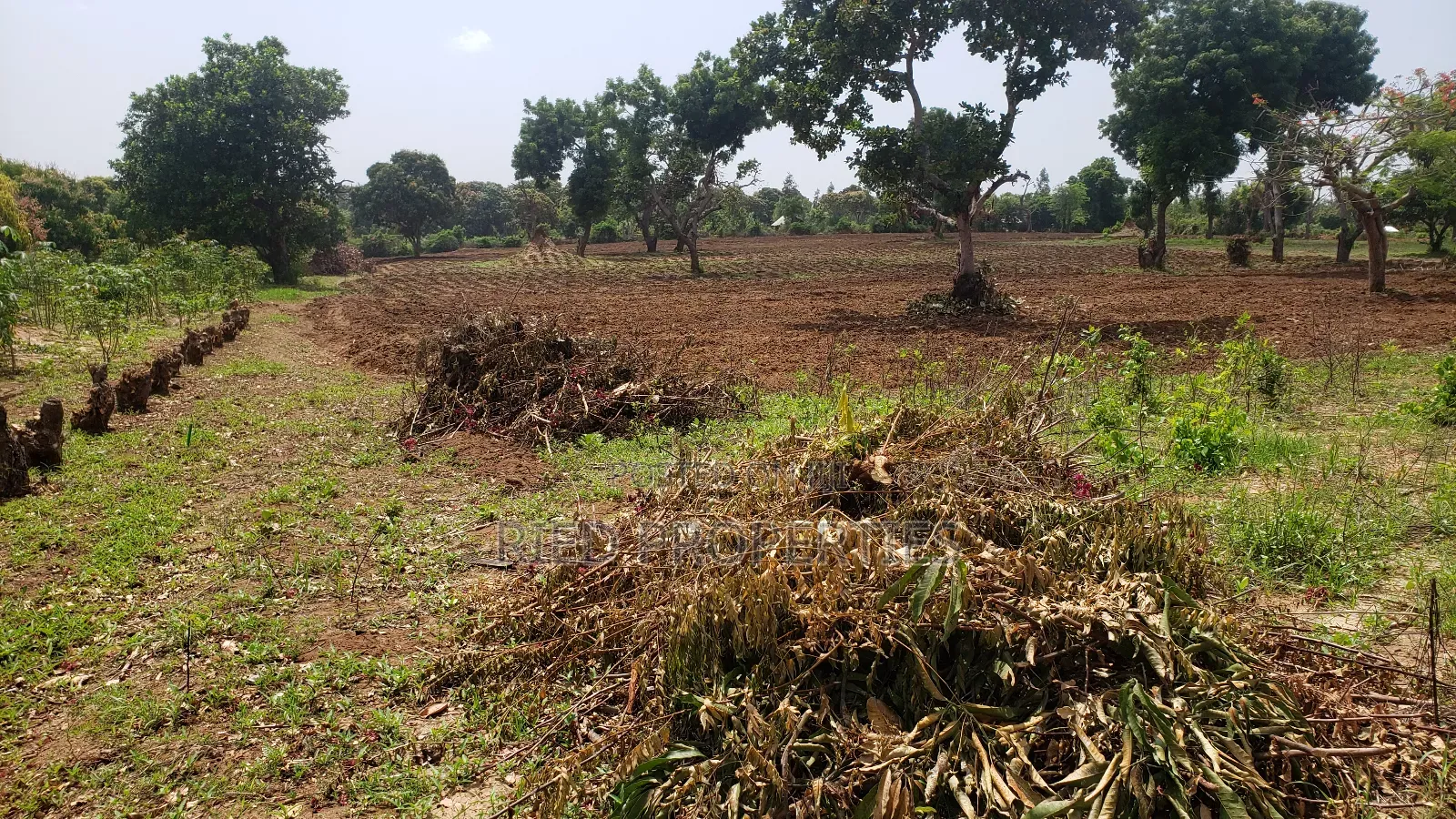 6 Acres in Malindi, Kilifi for Sale in Malindi