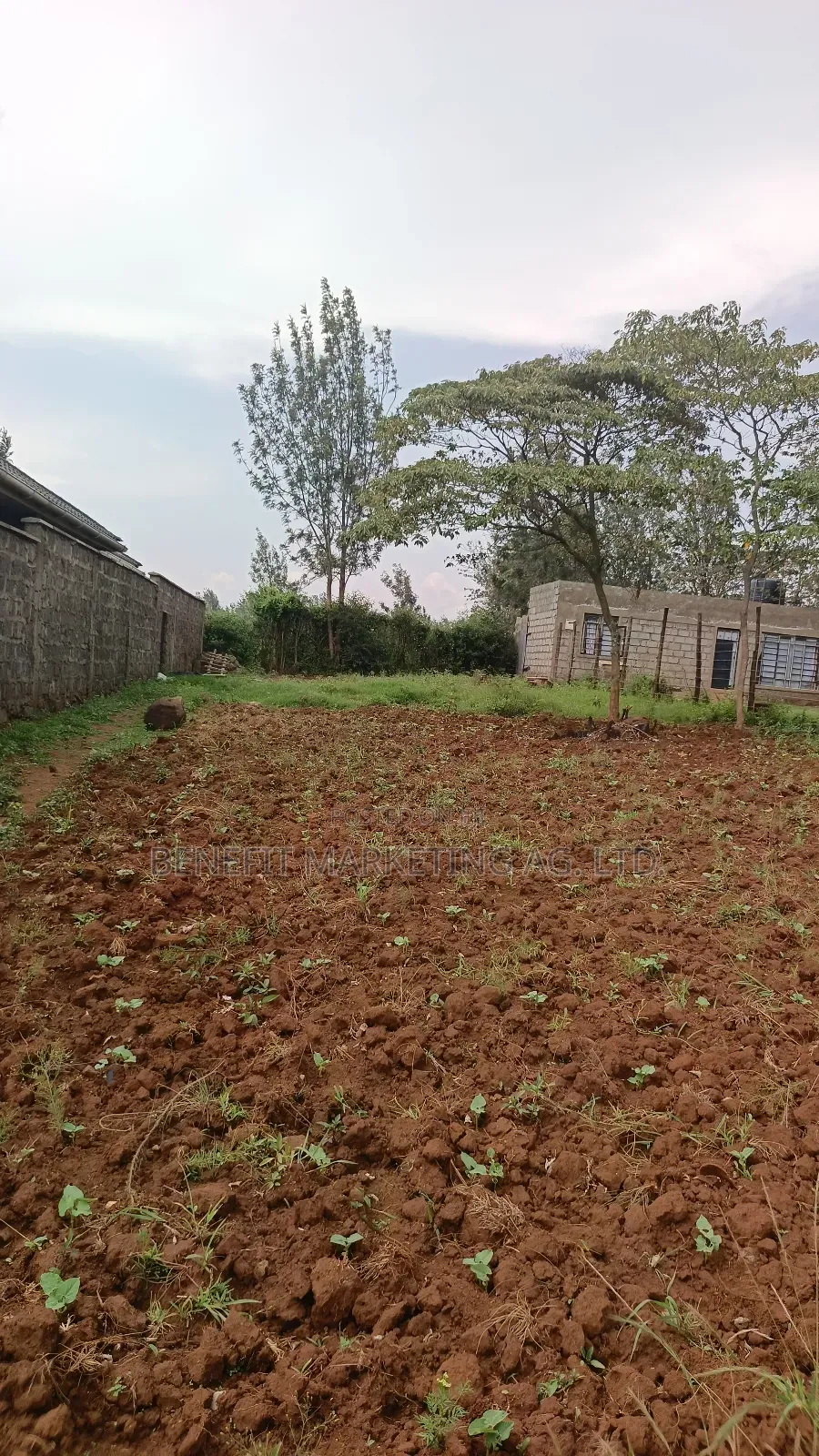 1⁄8 Acre Plot for Sale in Ngong Kibiko in Ngong