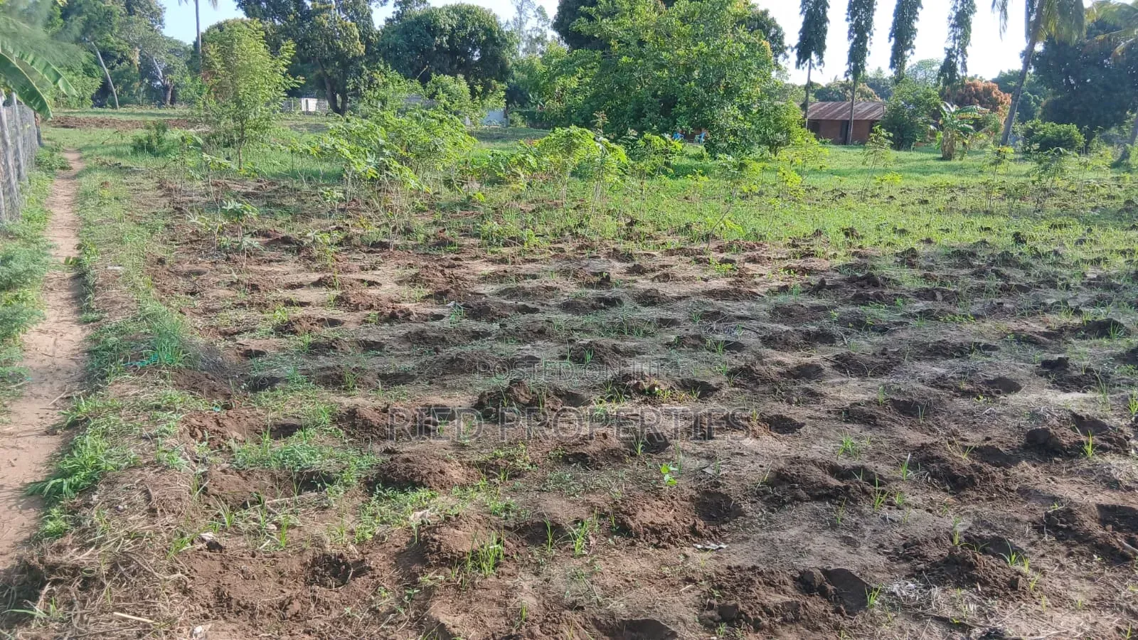50by100 Plots in Malindi, Kilifi for Sale in Malindi