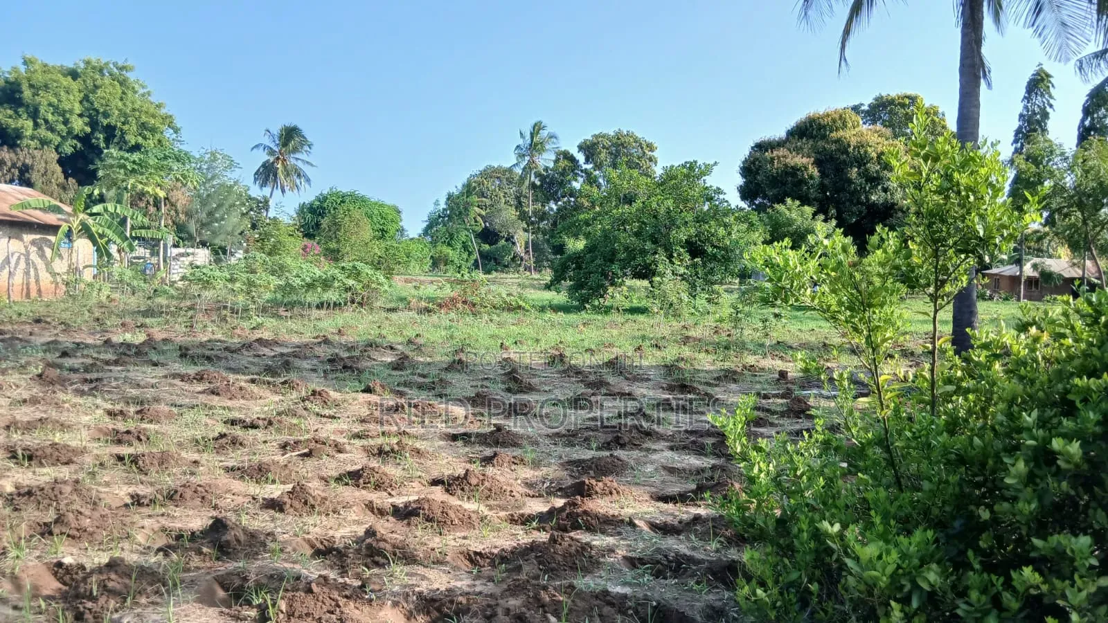 50by100 Plots in Malindi, Kilifi for Sale in Malindi