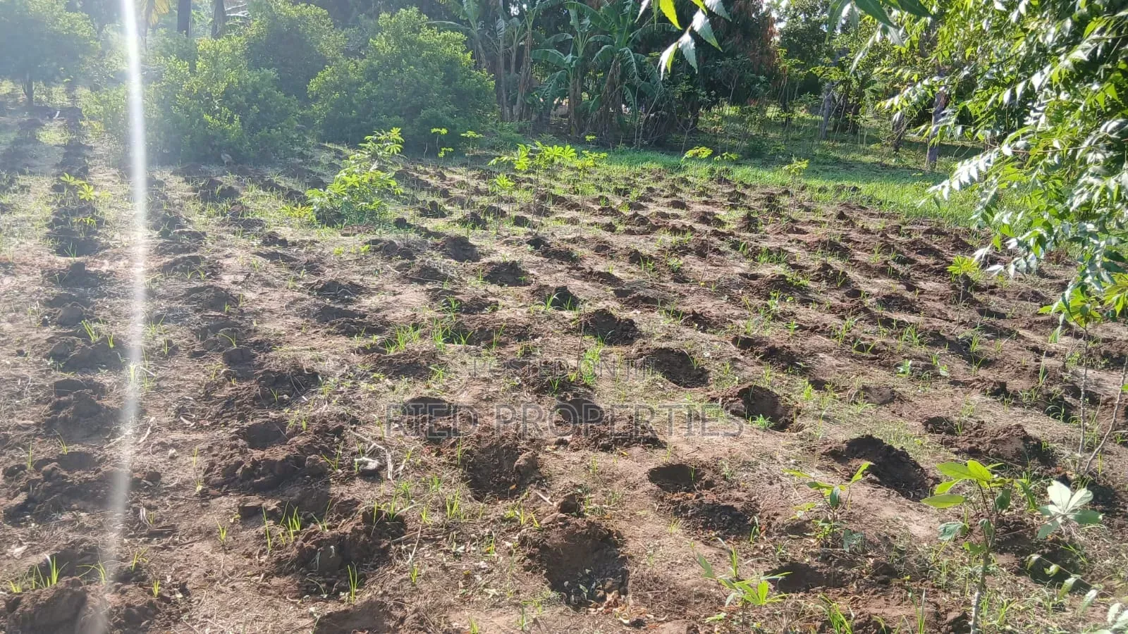 50by100 Plots in Malindi, Kilifi for Sale in Malindi