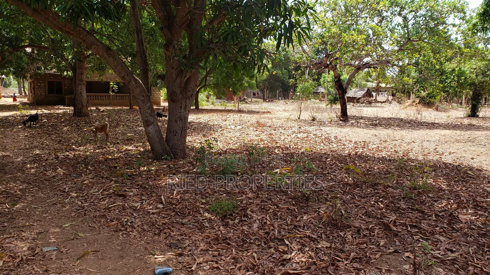 170by100, With an Unfinished House, in Malindi, Kilifi for Sale in Malindi