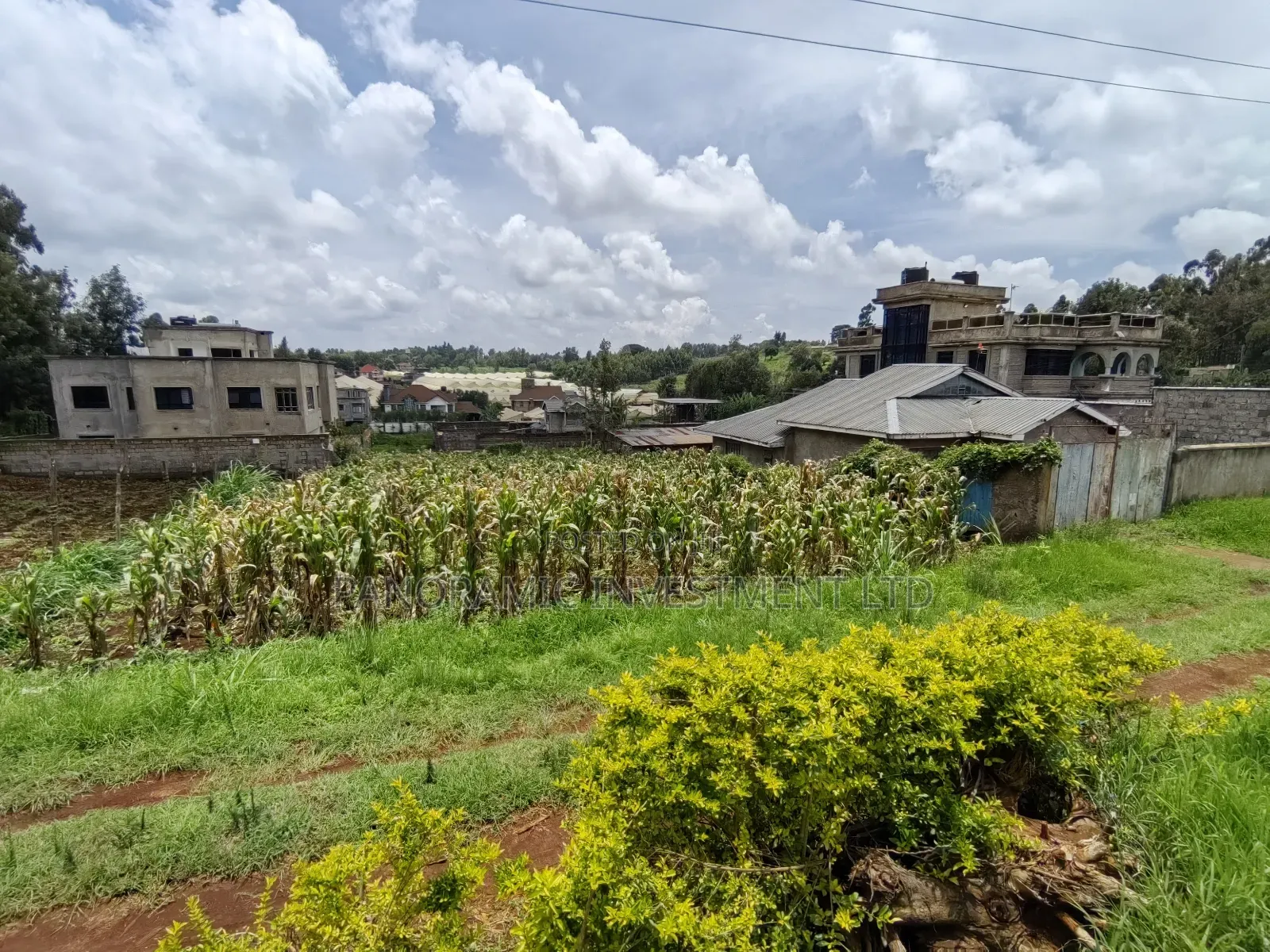 Quarter Acre for Sale in Ondiri Kikuyu Kiambu County. in Kikuyu