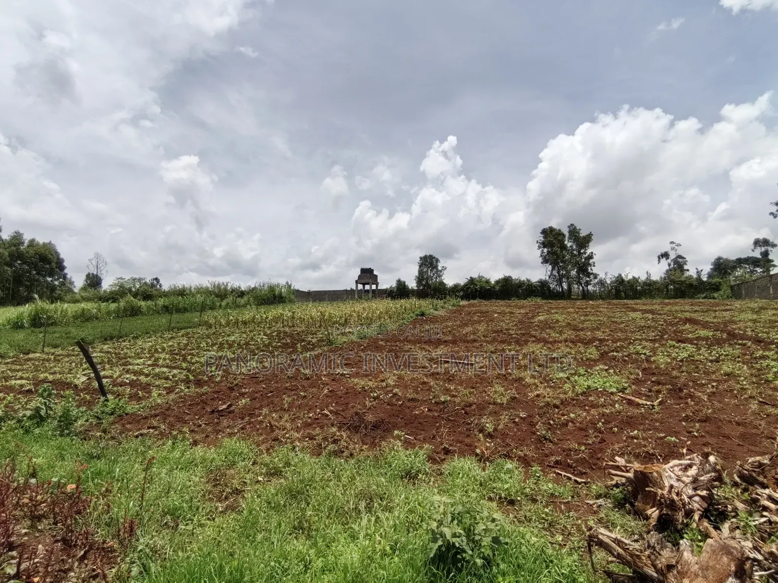 Quarter Acre for Sale in Ondiri Kikuyu Kiambu County. in Kikuyu