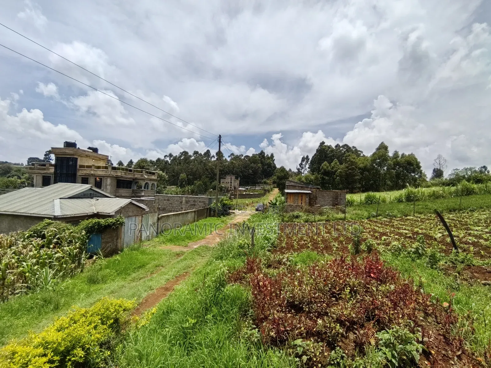 Quarter Acre for Sale in Ondiri Kikuyu Kiambu County. in Kikuyu