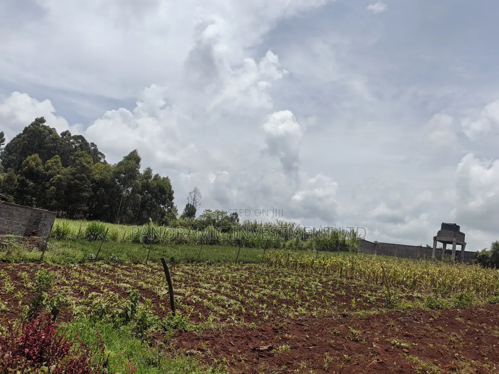 Quarter Acre for Sale in Ondiri Kikuyu Kiambu County. in Kikuyu