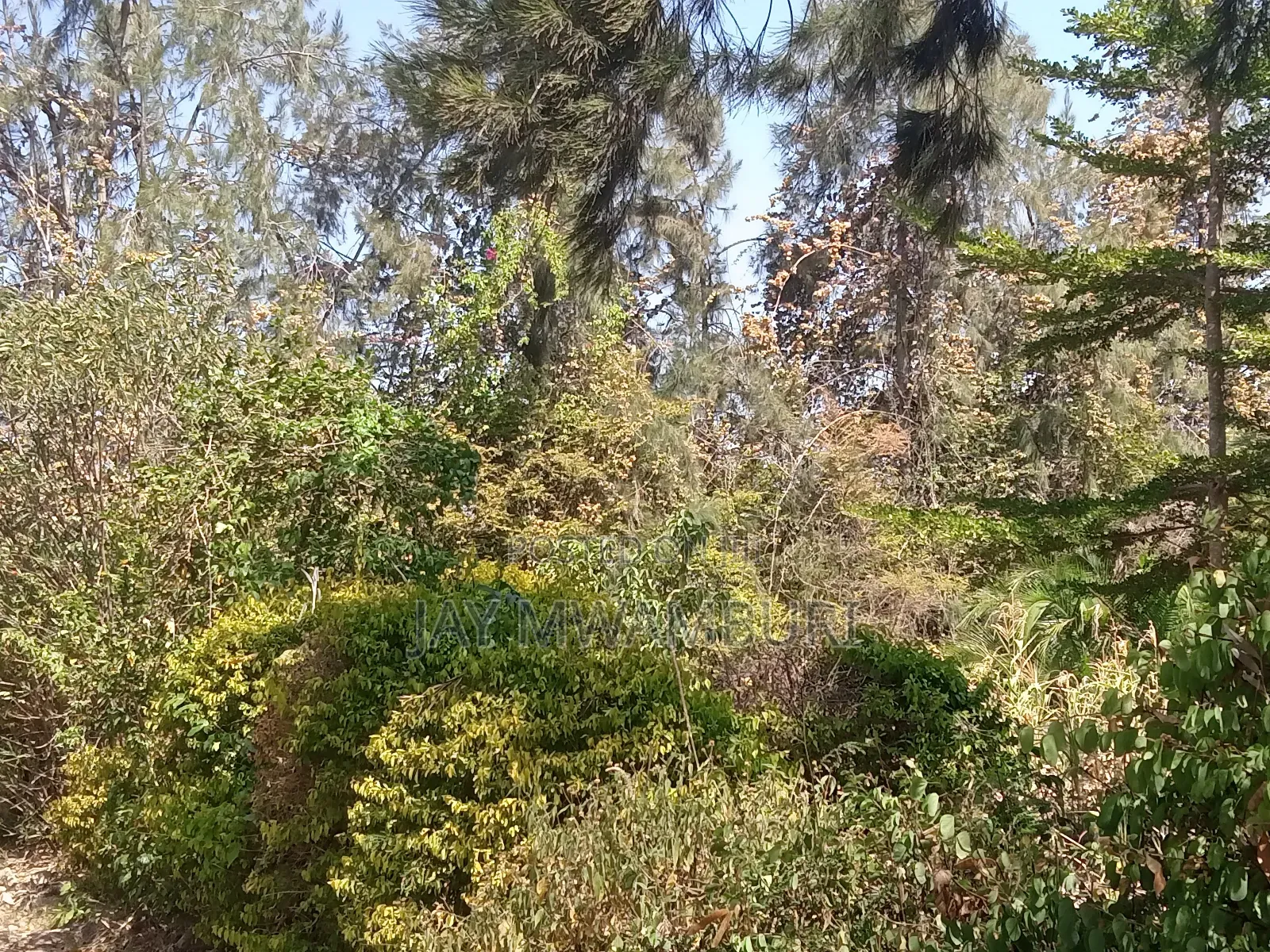 1 Acre Kenol Machakos in Mua Hills
