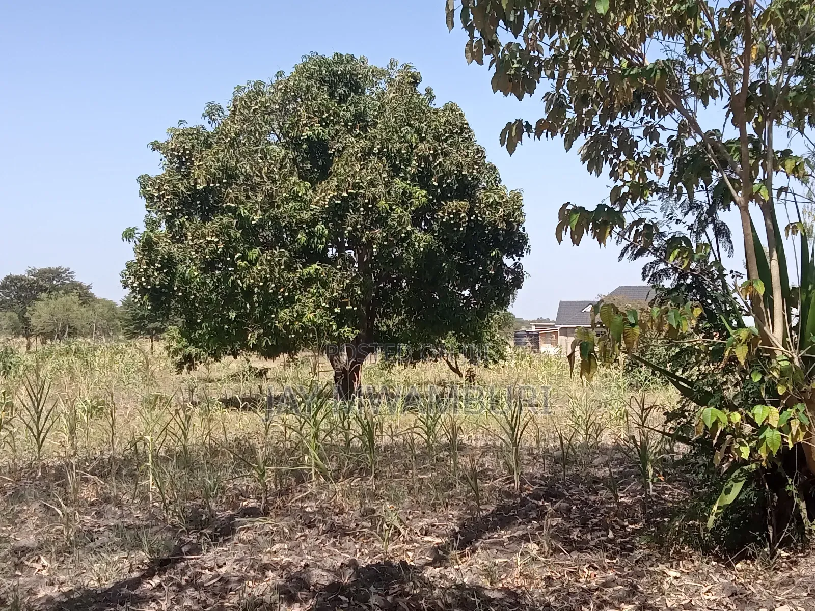 1 Acre Kenol Machakos in Mua Hills