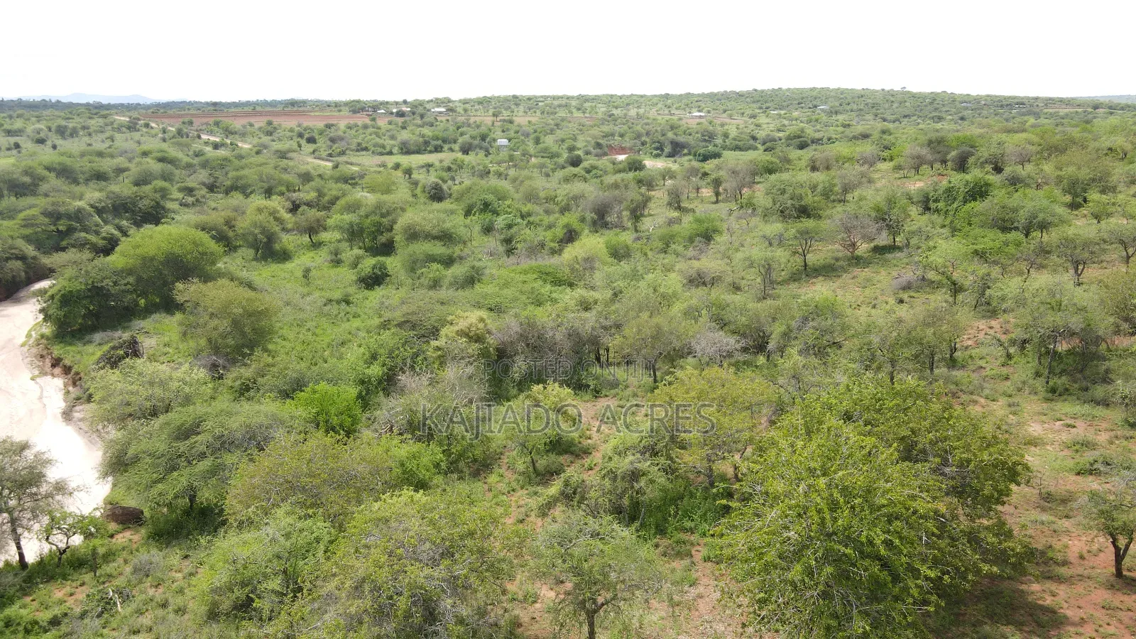 6 Acres Mashuru at Per Acre in Imaroro