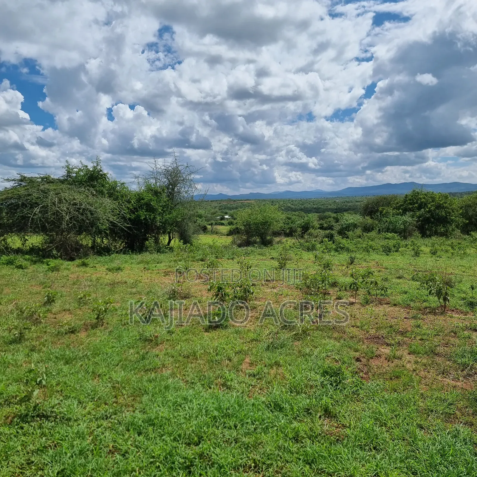 6 Acres Mashuru at Per Acre in Imaroro