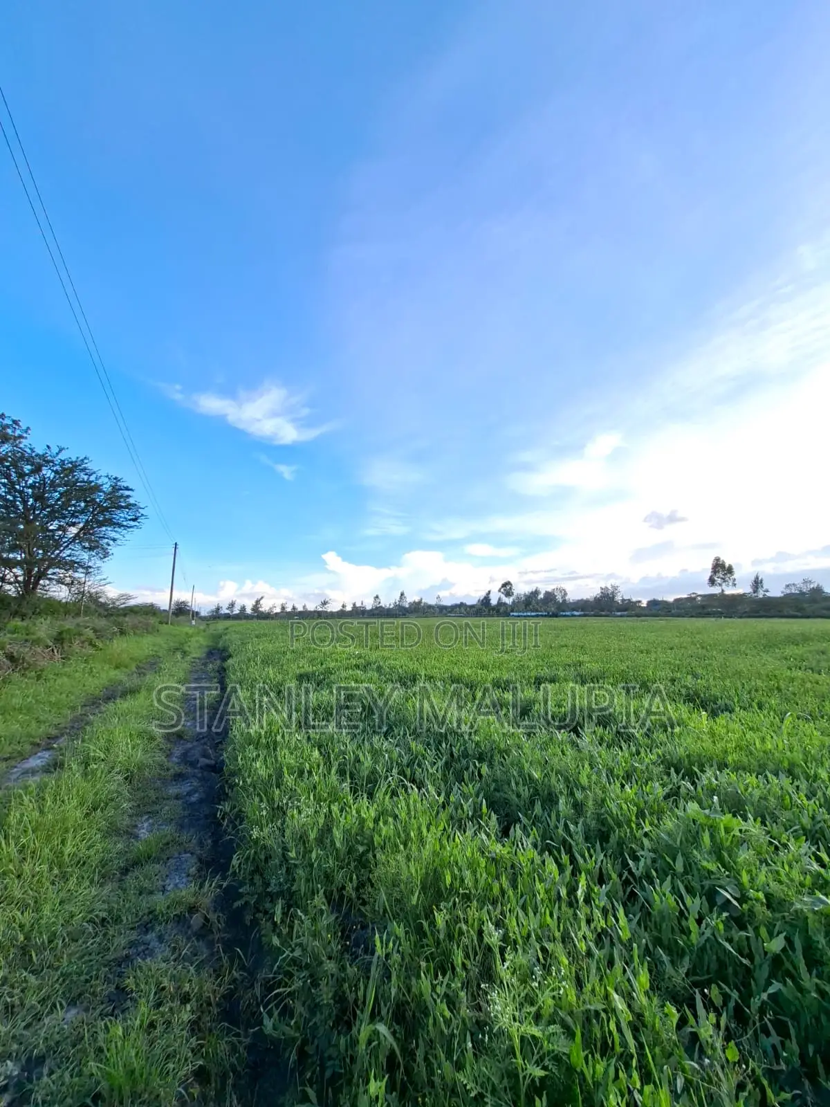 16 Acres for Sale – Kandisi, Ongata Rongai Per Acre 20m in Kandisi