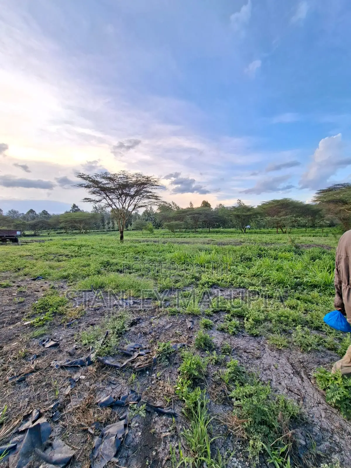 16 Acres for Sale – Kandisi, Ongata Rongai Per Acre 20m in Kandisi