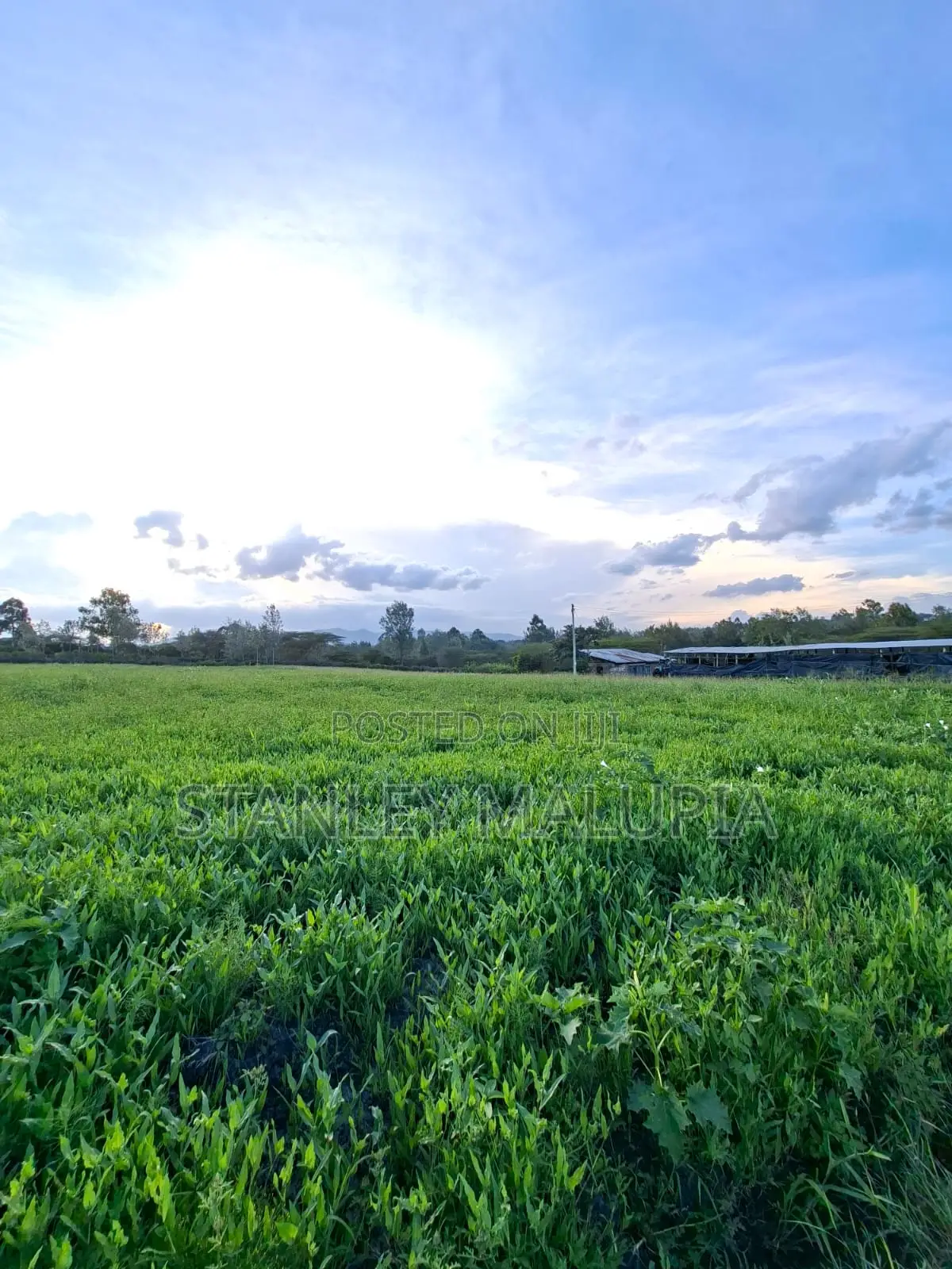 16 Acres for Sale – Kandisi, Ongata Rongai Per Acre 20m in Kandisi