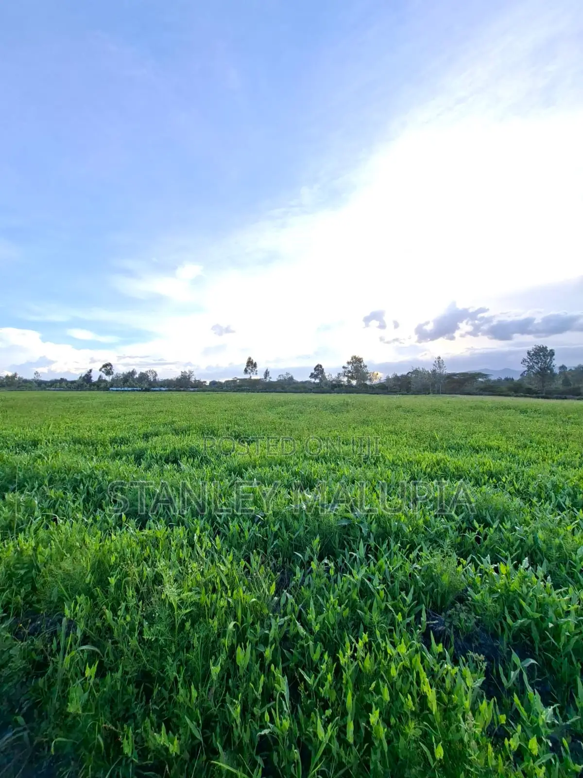 16 Acres for Sale – Kandisi, Ongata Rongai Per Acre 20m in Kandisi