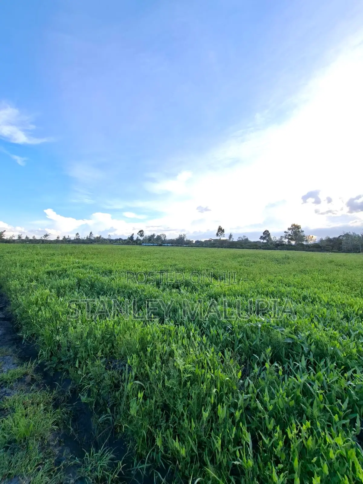 16 Acres for Sale – Kandisi, Ongata Rongai Per Acre 20m in Kandisi