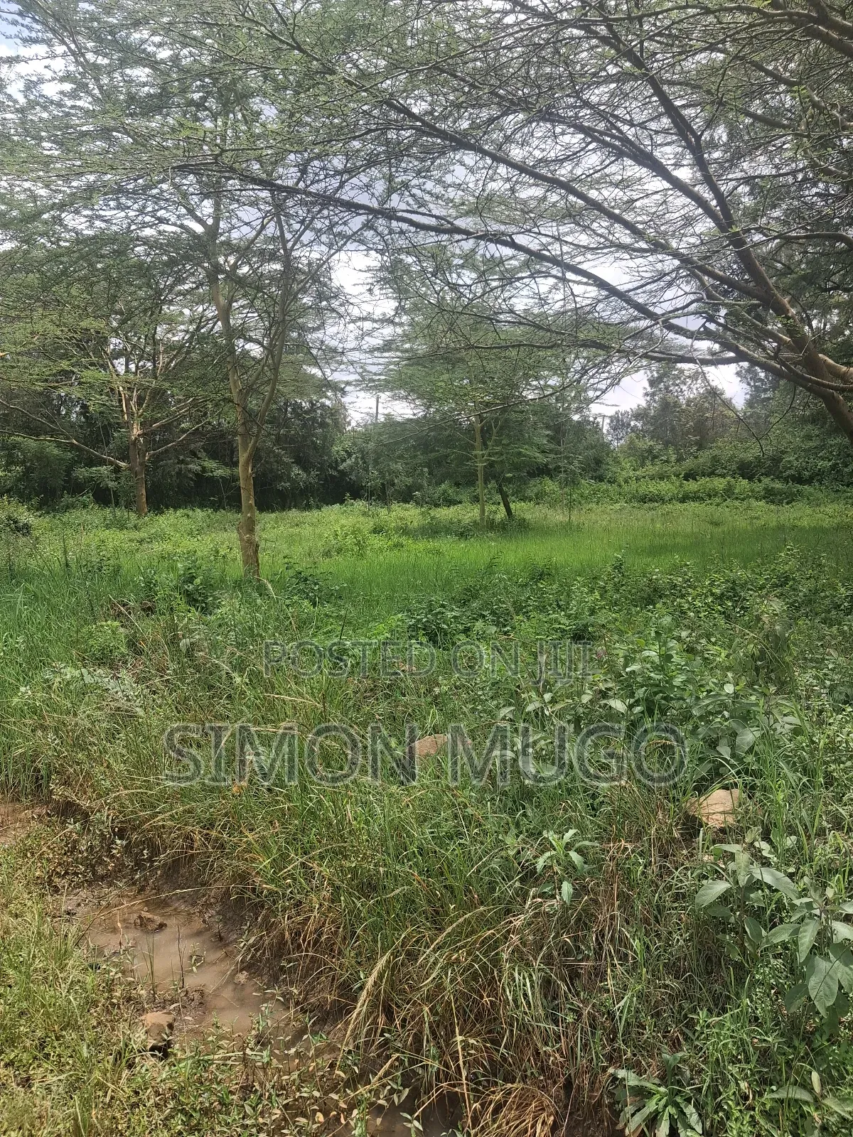 Garden Estate Prime Residential 1/2acre. Title Quick Sale 35 Millions in Ridgeways