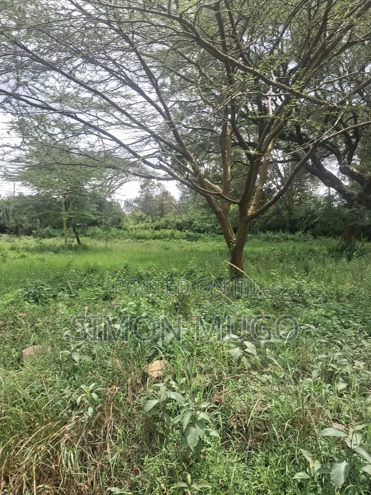 Garden Estate Prime Residential 1/2acre. Title Quick Sale 35 Millions in Ridgeways