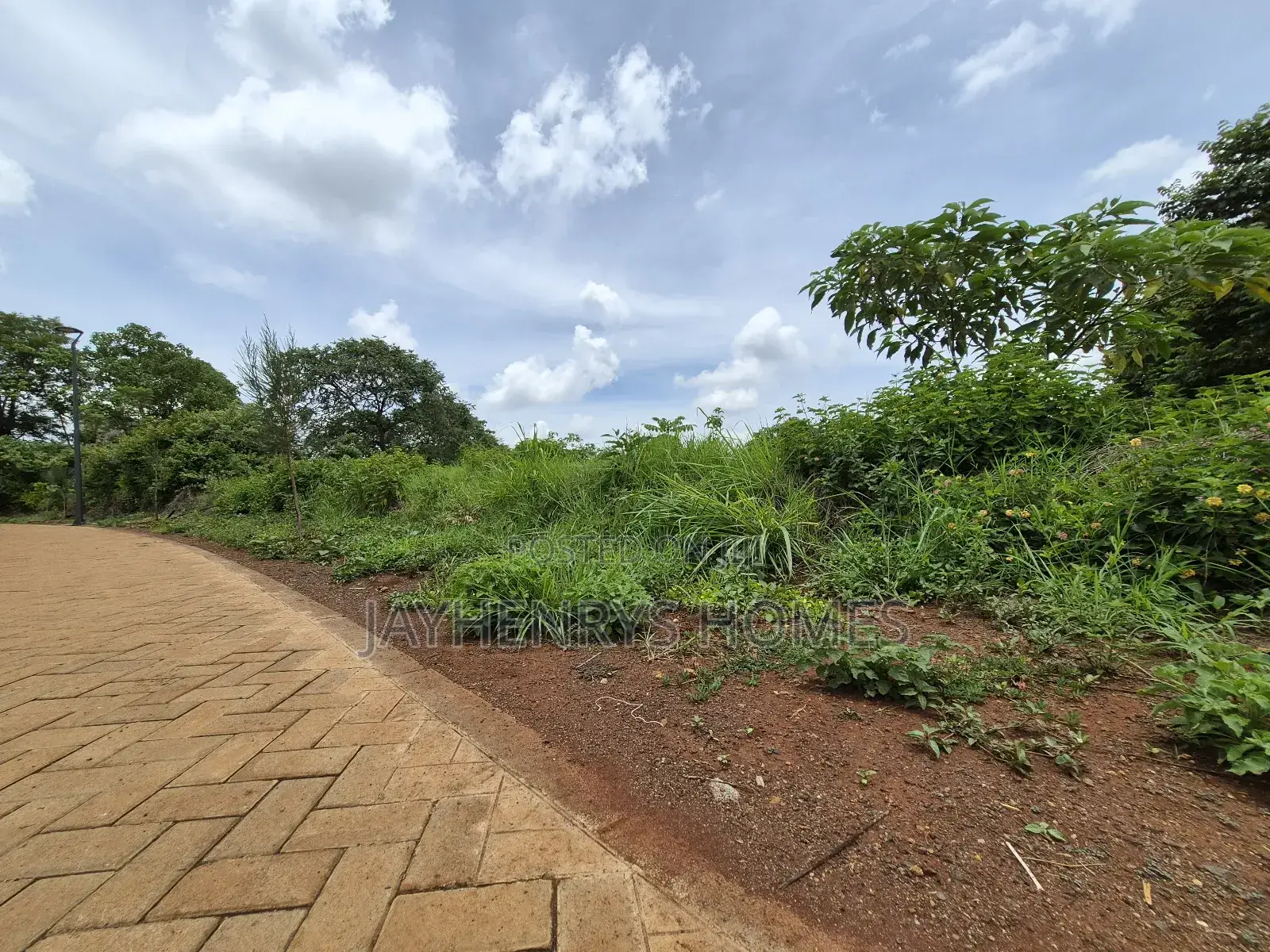 Half Acre Plot for Sale in Kijani Ridge,Tatu City at KSHS 45m in Old Junction