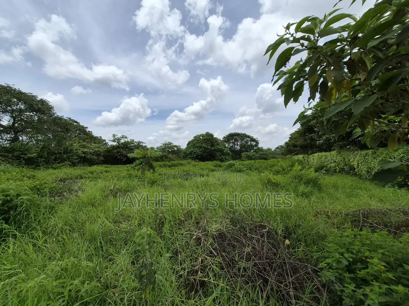 Half Acre Plot for Sale in Kijani Ridge,Tatu City at KSHS 45m in Old Junction