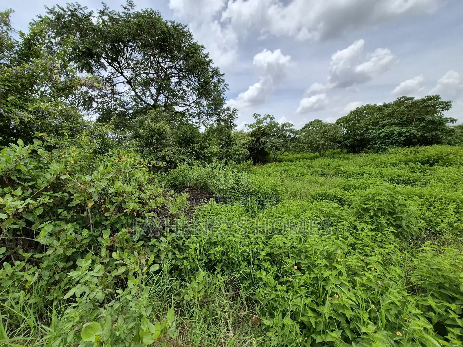 Half Acre Plot for Sale in Kijani Ridge,Tatu City at KSHS 45m in Old Junction