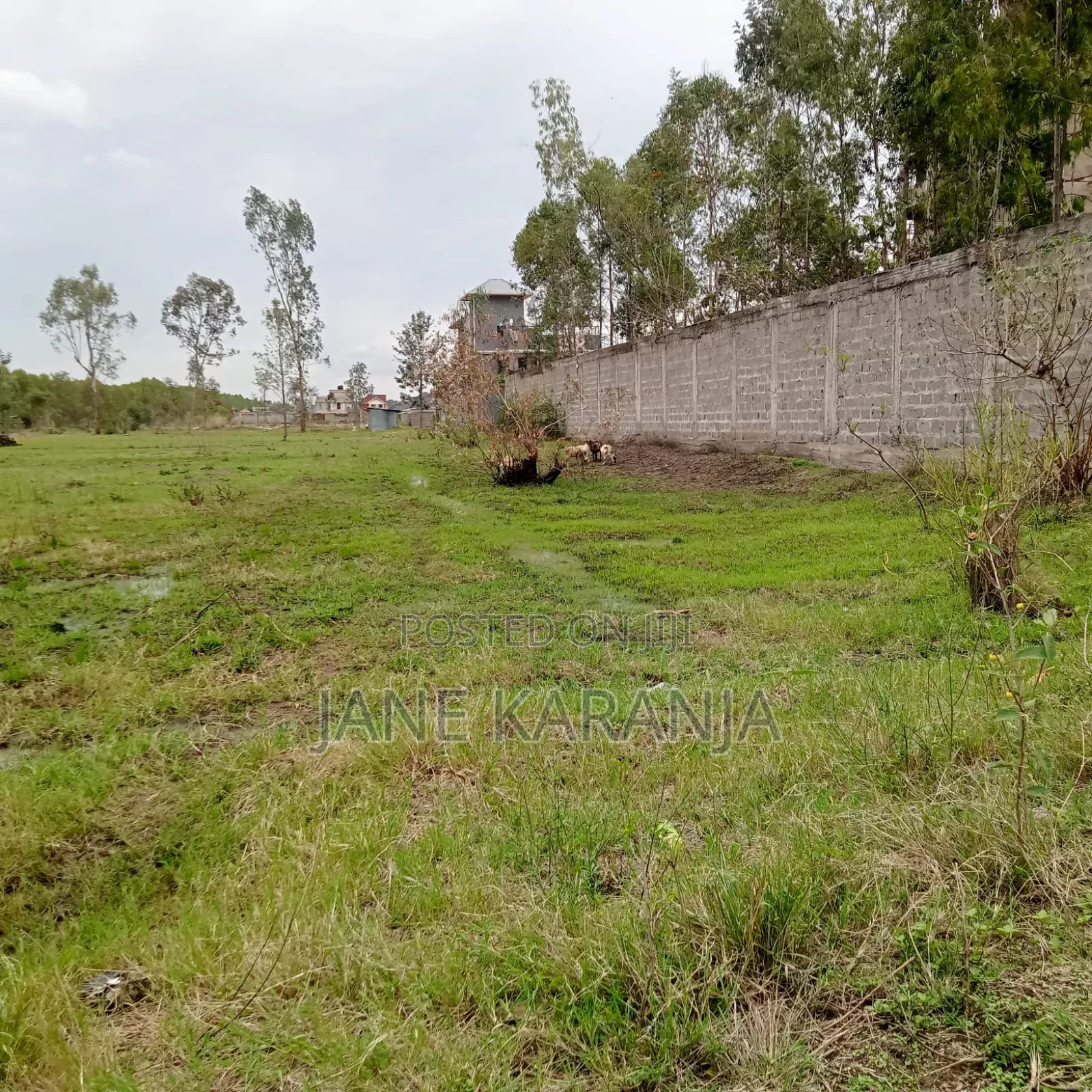 4.7 Acres Mwihoko Near Mutuya Police Station 40m Whole Block in Githurai