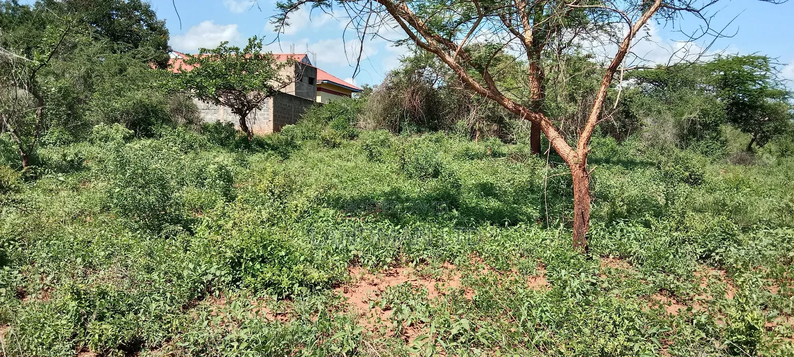 Kenol Makutano Plots for Sale Kwa Samaki . in Kambiti