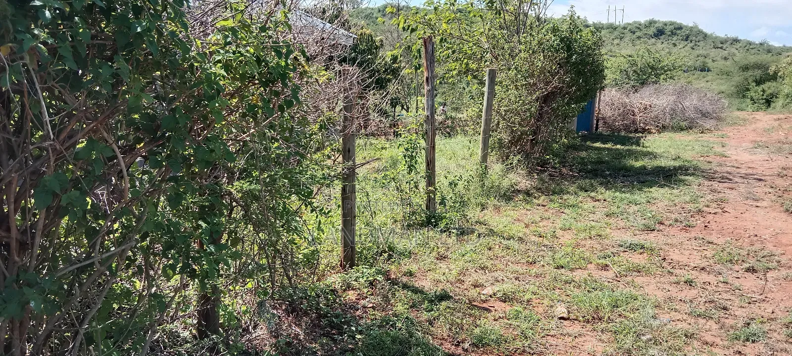 Kenol Makutano Plots for Sale Kwa Samaki . in Kambiti