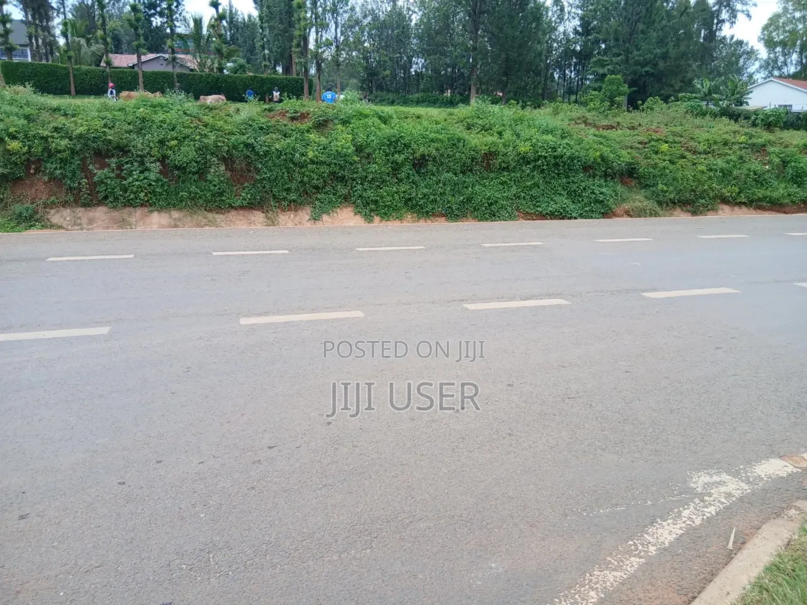 Prime Land 3 Acres in Chabera Area Touching Kisii-Kisumu Highway in Central Kasipul
