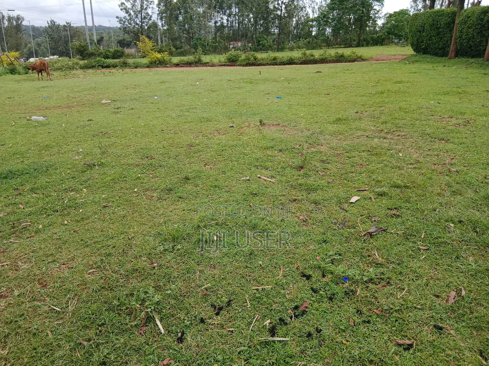 Prime Land 3 Acres in Chabera Area Touching Kisii-Kisumu Highway in Central Kasipul