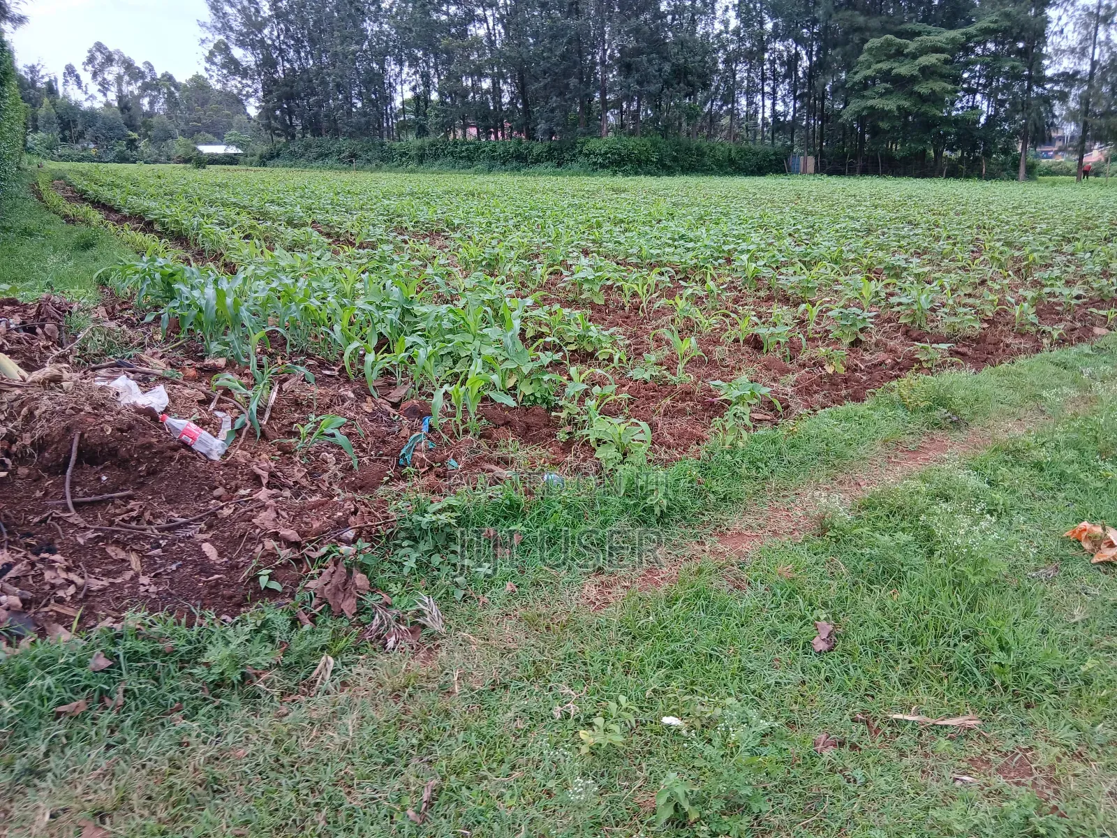 Prime Land 3 Acres in Chabera Area Touching Kisii-Kisumu Highway in Central Kasipul