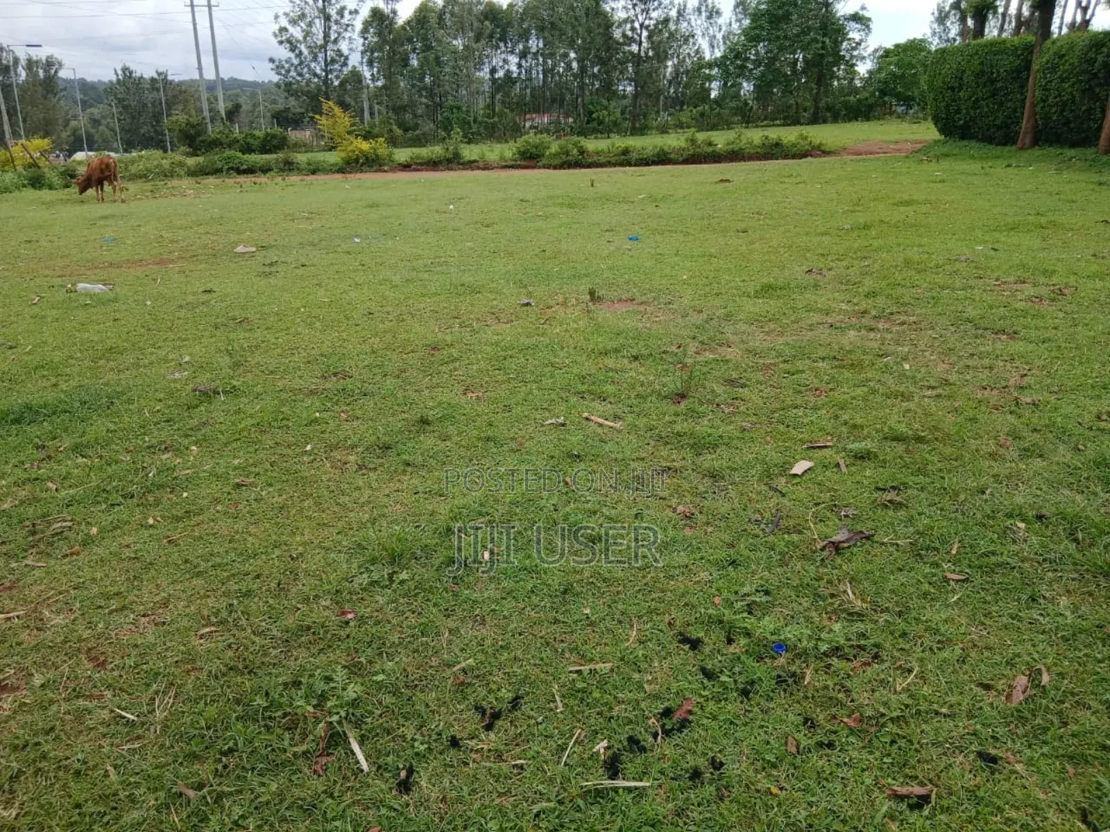 Prime Land 3 Acres in Chabera Area Touching Kisii-Kisumu Highway in Central Kasipul
