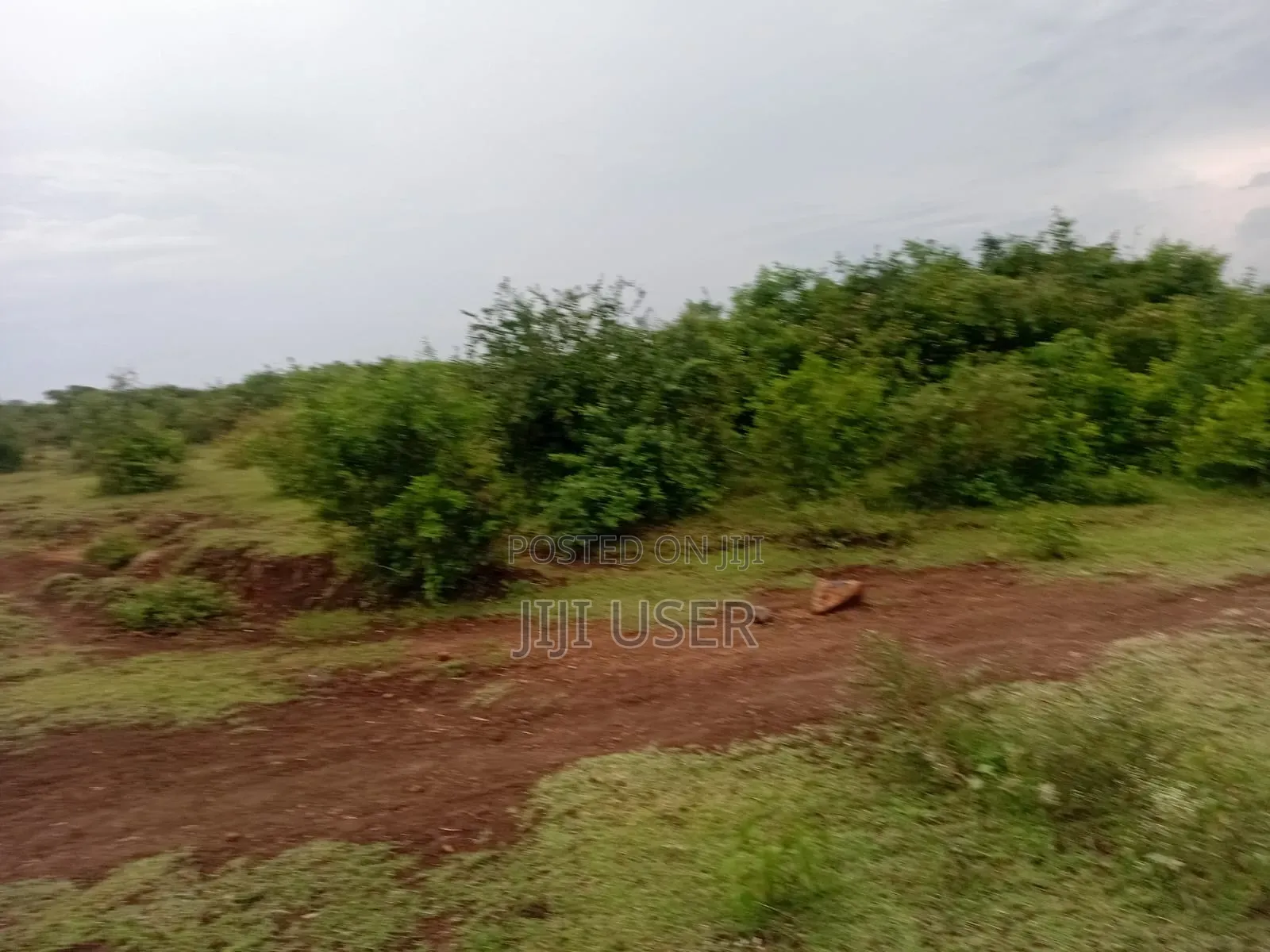 One Acre of Land in Omako Koyh Area Homa Bay in Kanyamwa Kosewe