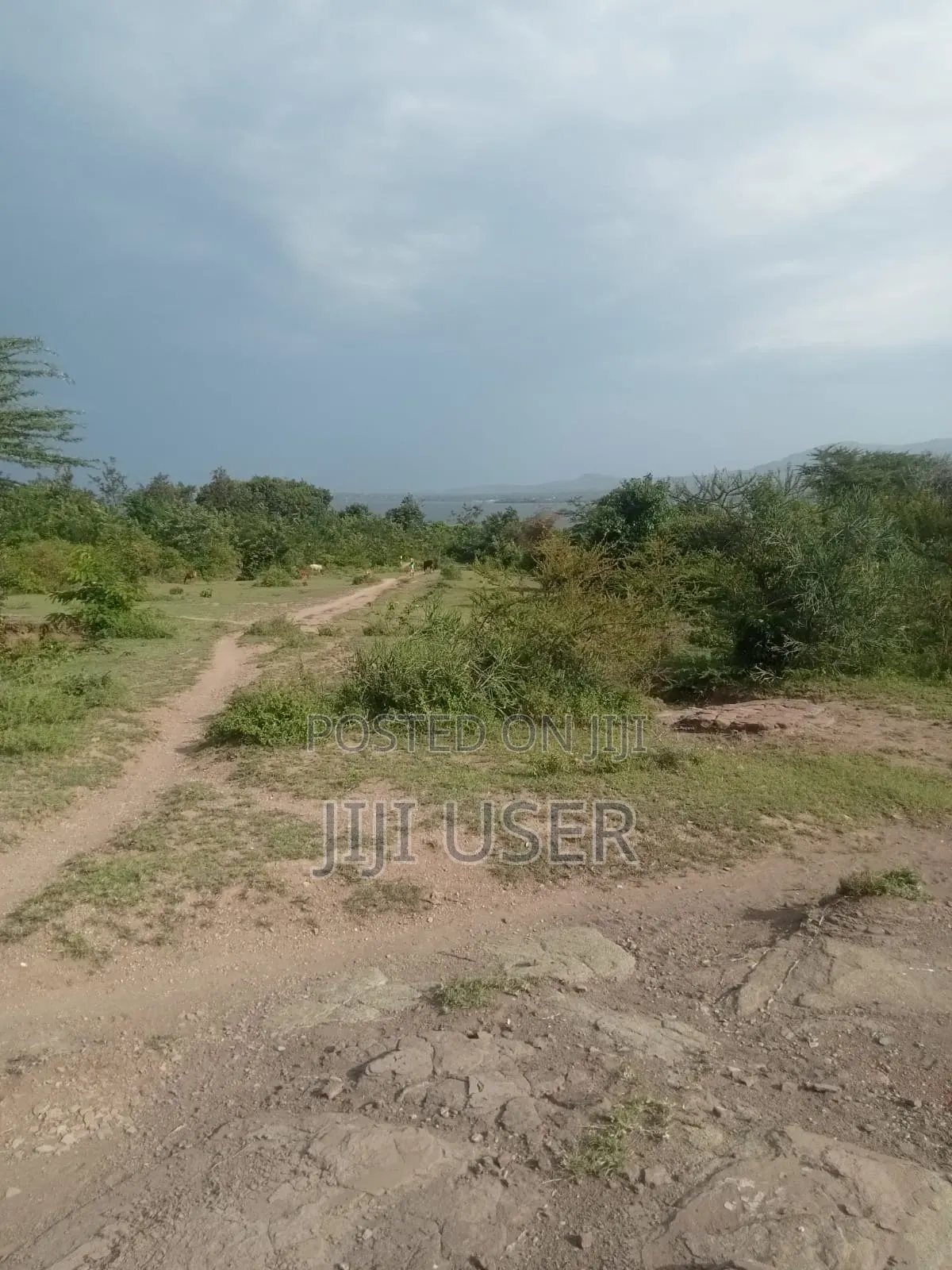 Prime One Acre Beach Plot in Rusinga Island in Rusinga Island