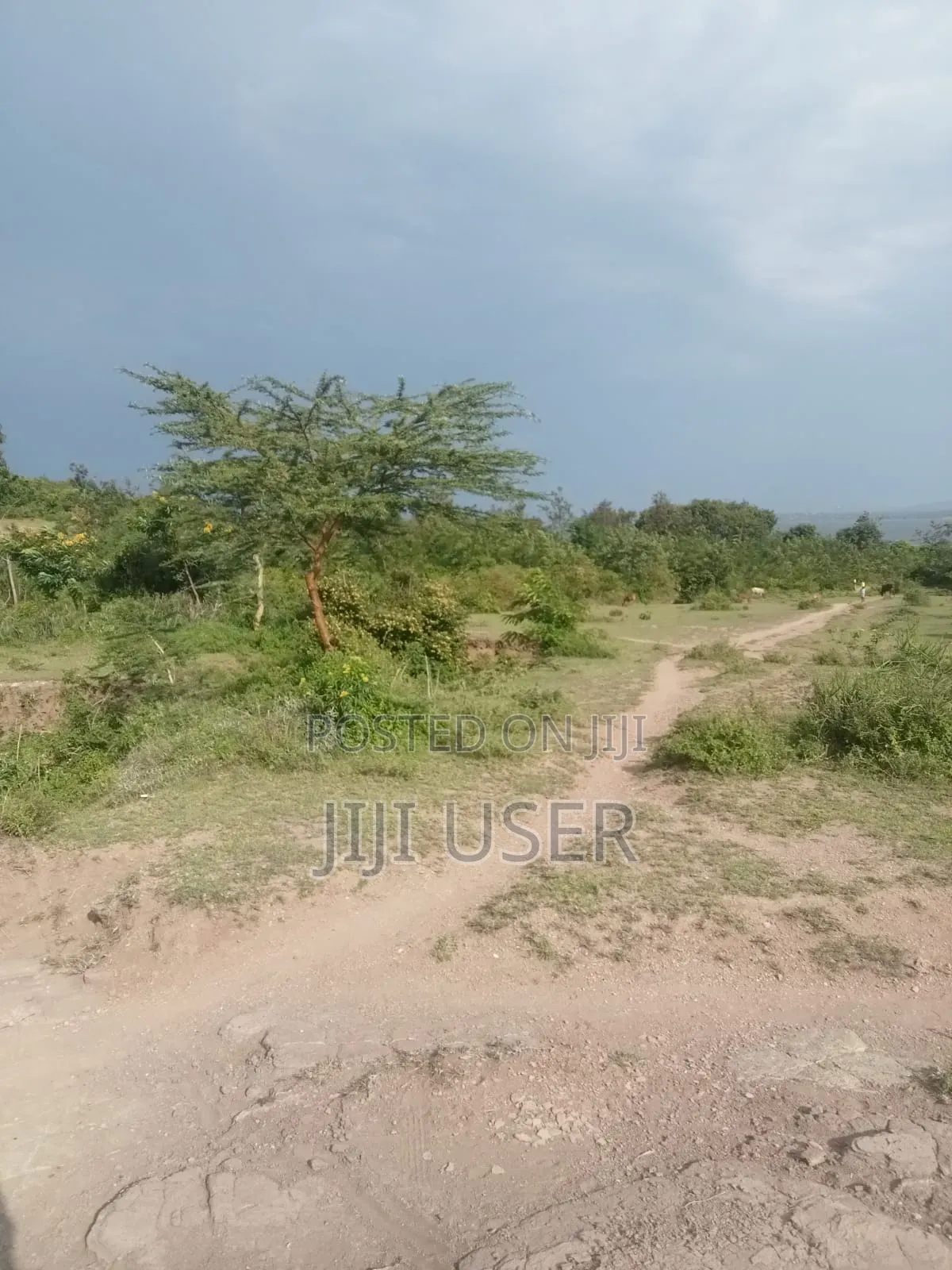 Prime One Acre Beach Plot in Rusinga Island in Rusinga Island