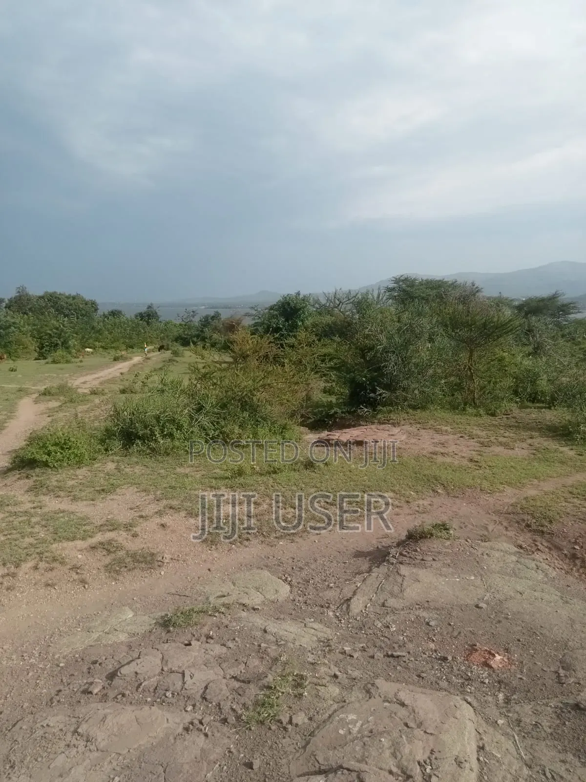Prime One Acre Beach Plot in Rusinga Island in Rusinga Island