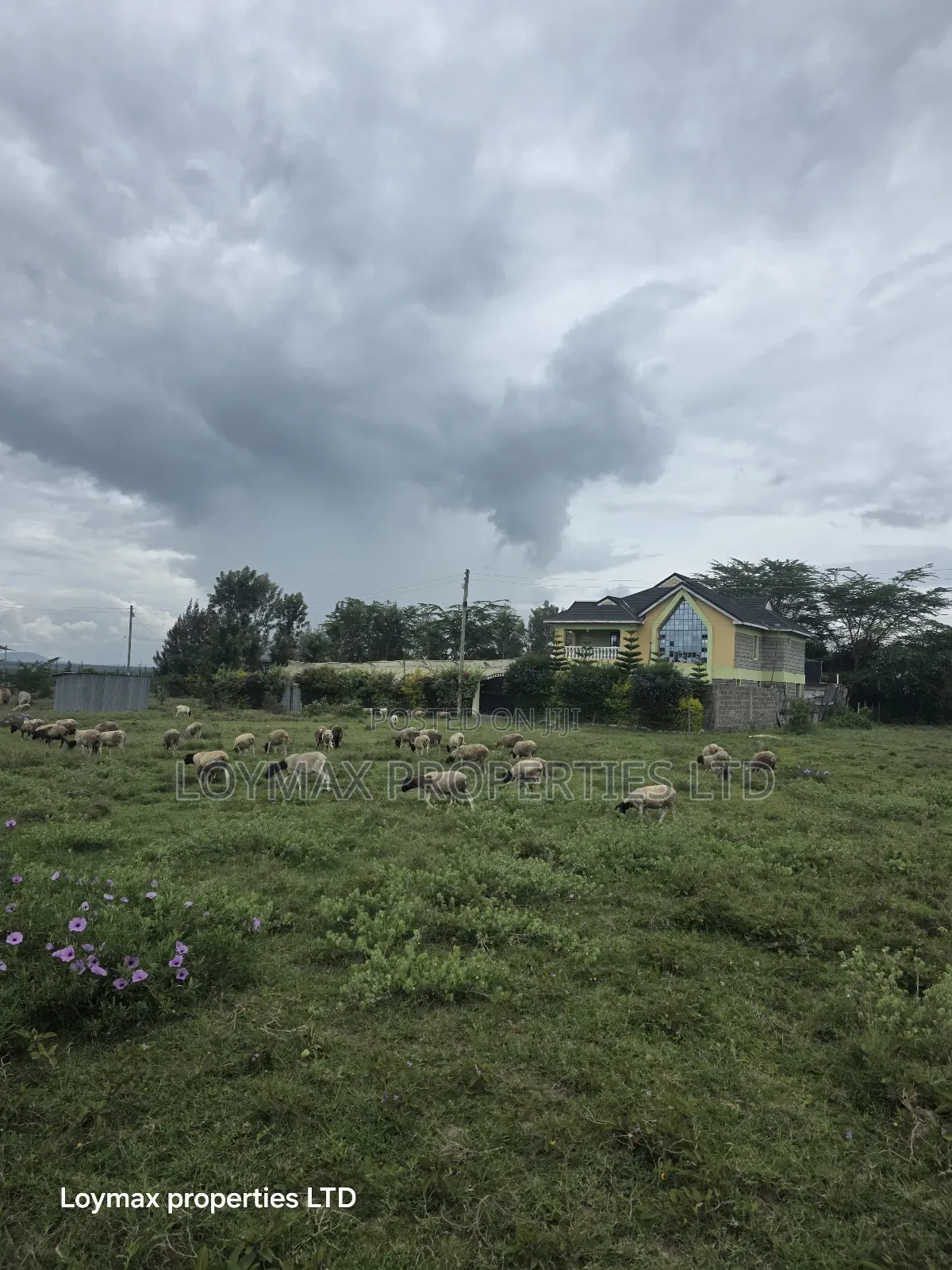 50*100 Residential Plot in Kitengela Kag in Kitengela