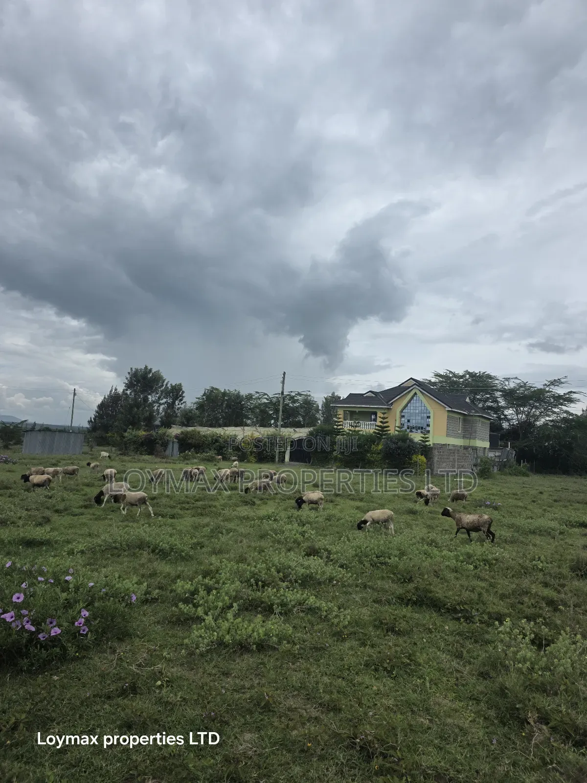 50*100 Residential Plot in Kitengela Kag in Kitengela