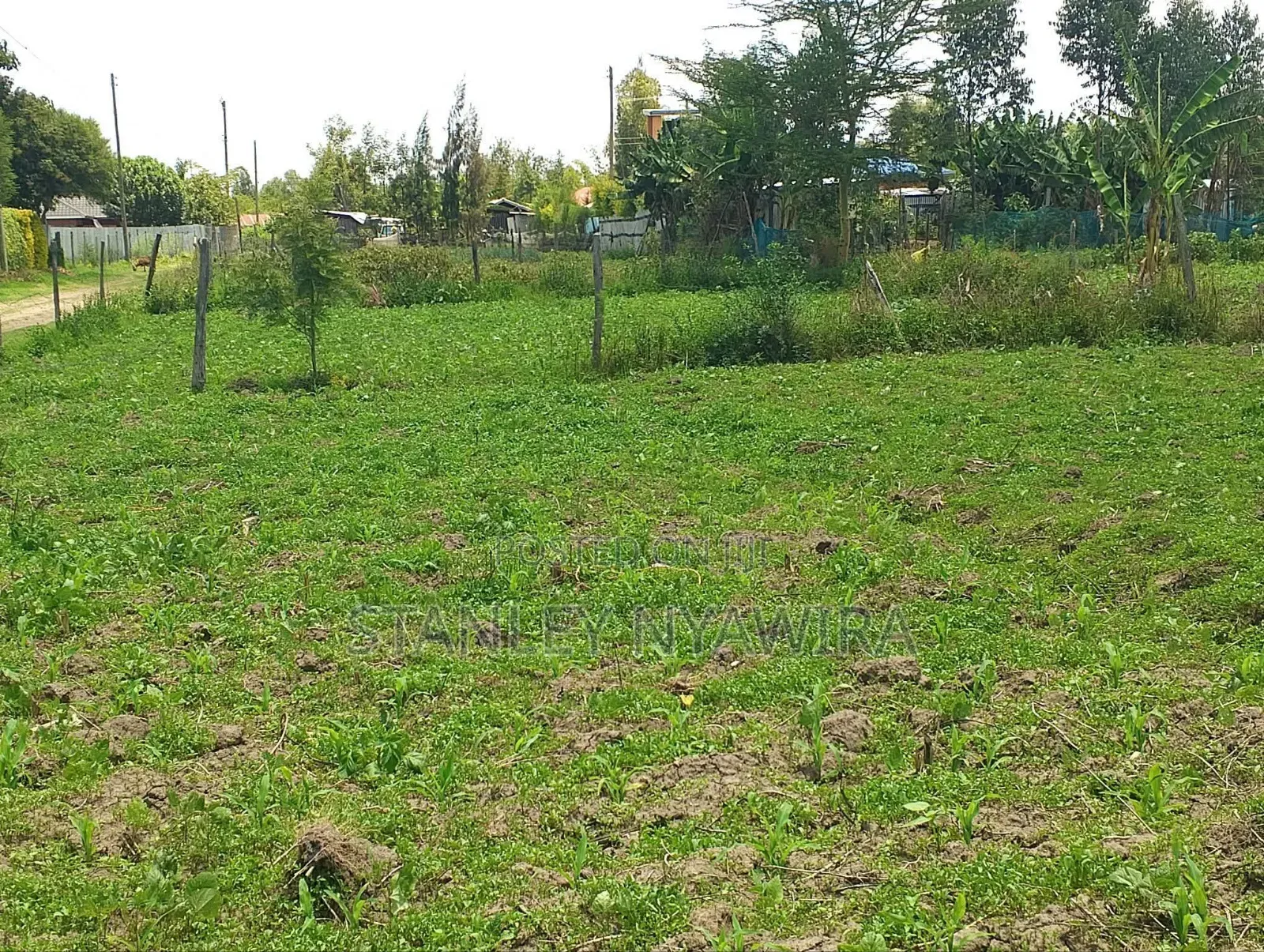 Plot for Sale Nanyuki in Nanyuki