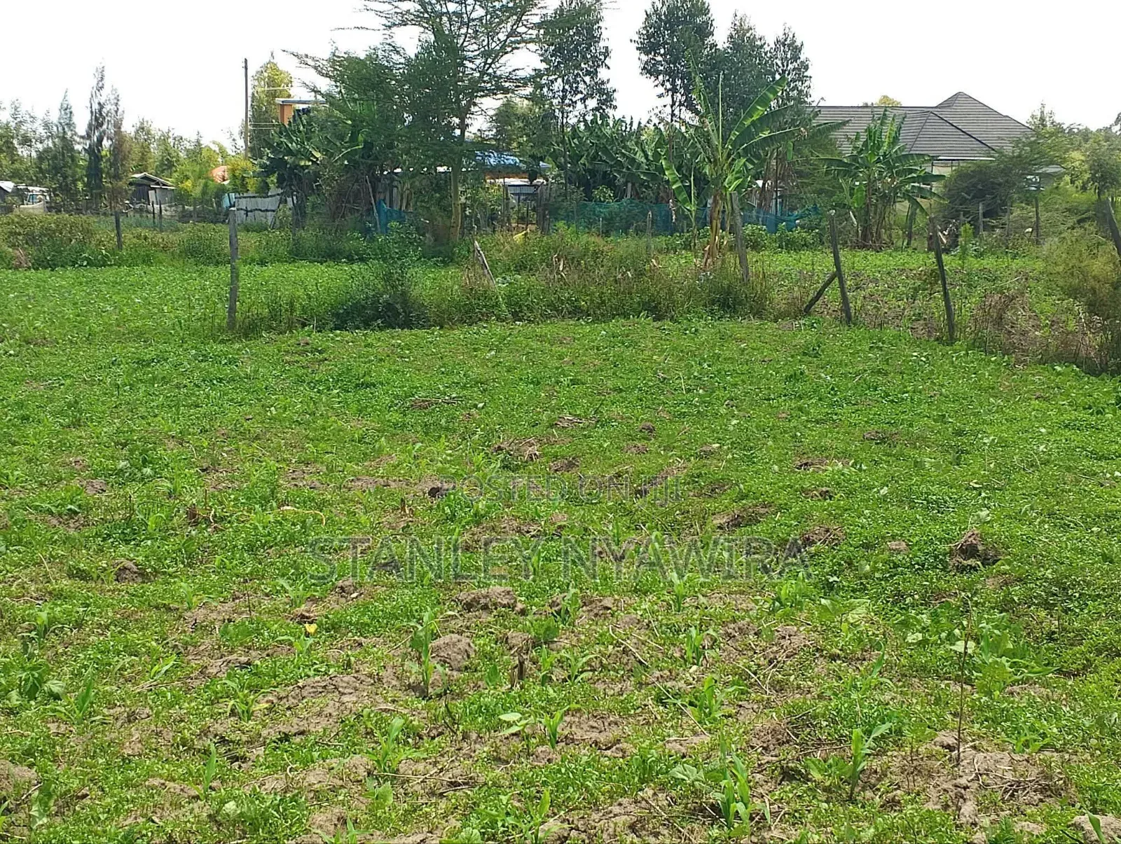 Plot for Sale Nanyuki in Nanyuki